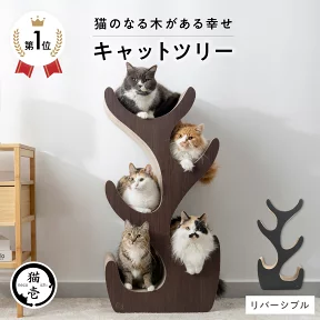 爪とぎキャットツリー