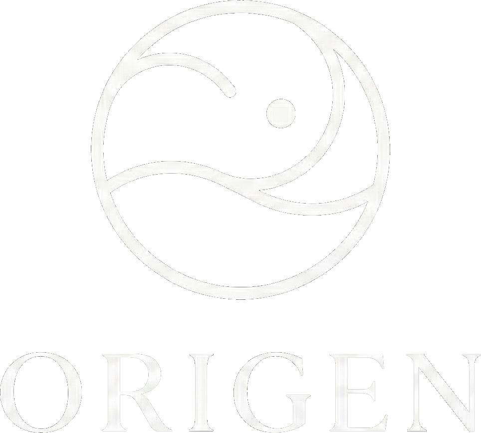 GASTRONOMÍA ORIGEN