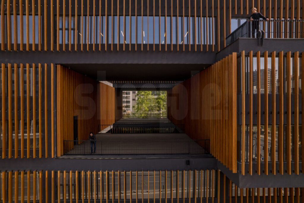 Galería Simple Producciones 2