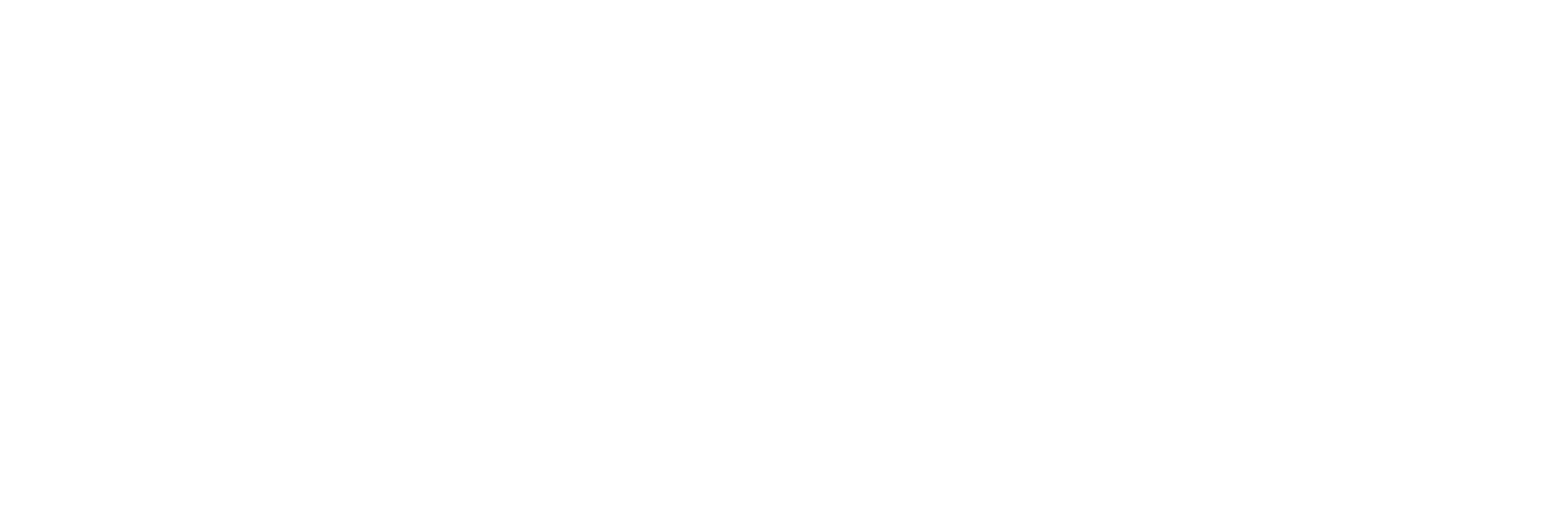 SANALx Logo