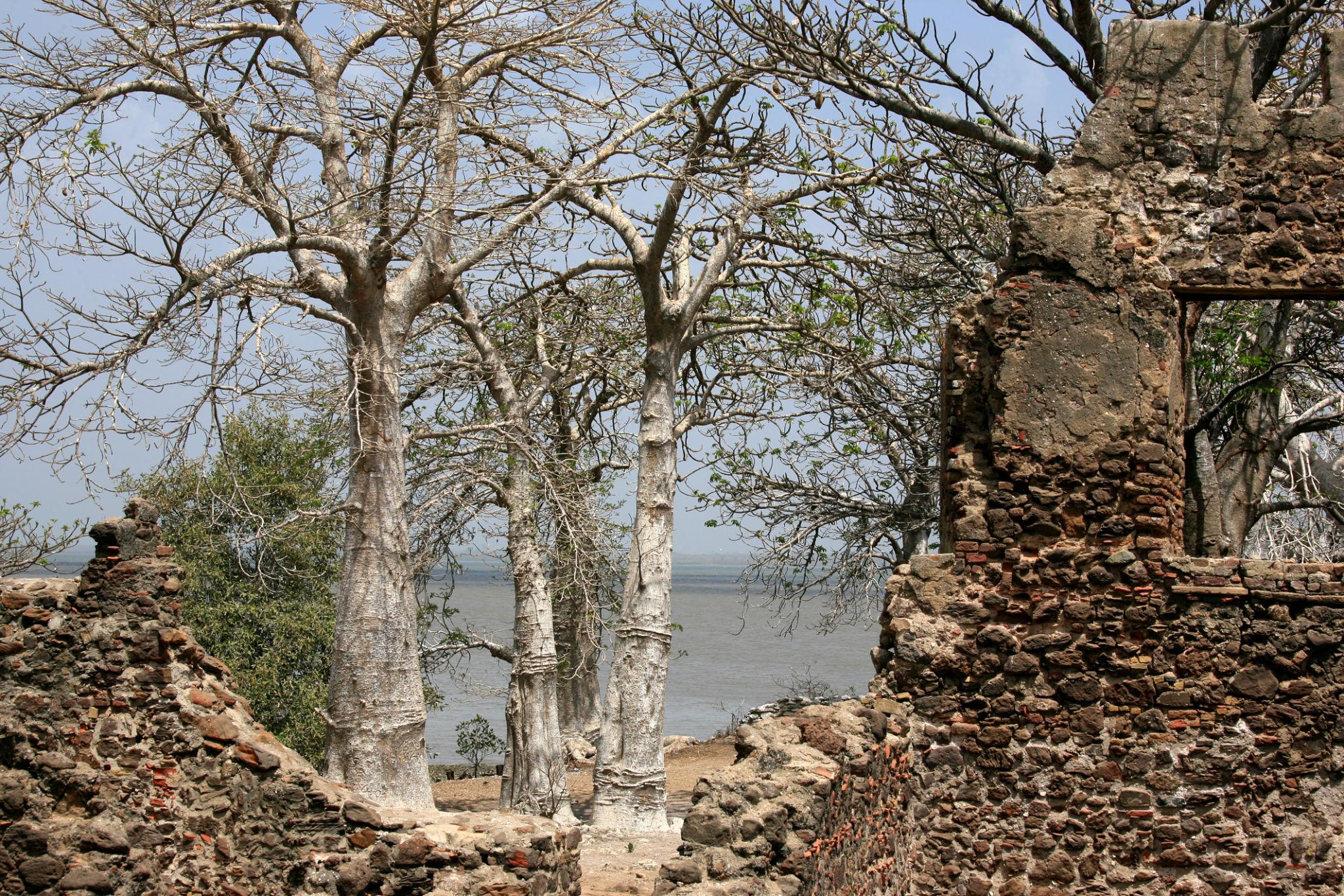 Kunta Kinteh Island - ruínas