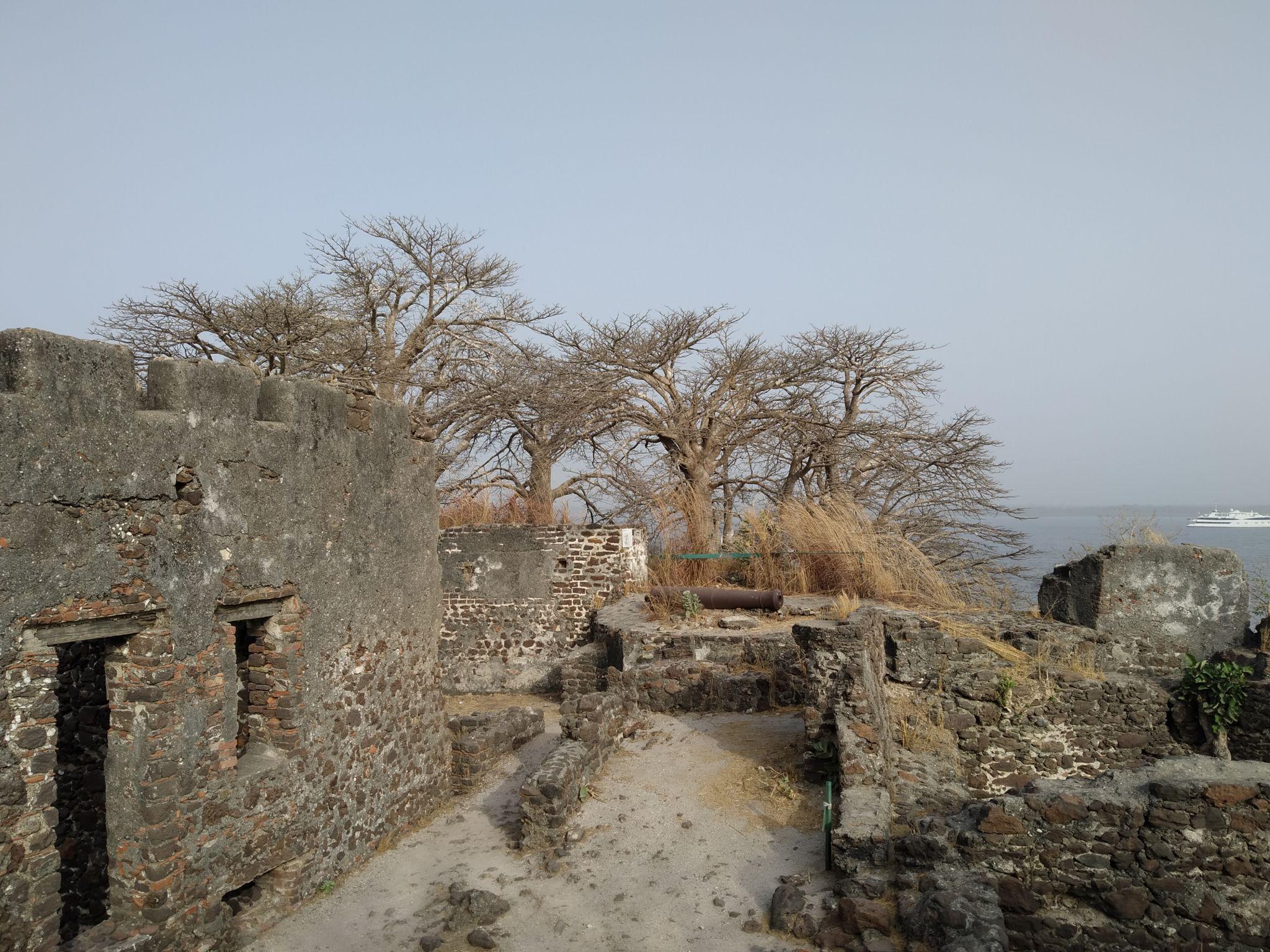Kunta Kinteh Island - baobabs