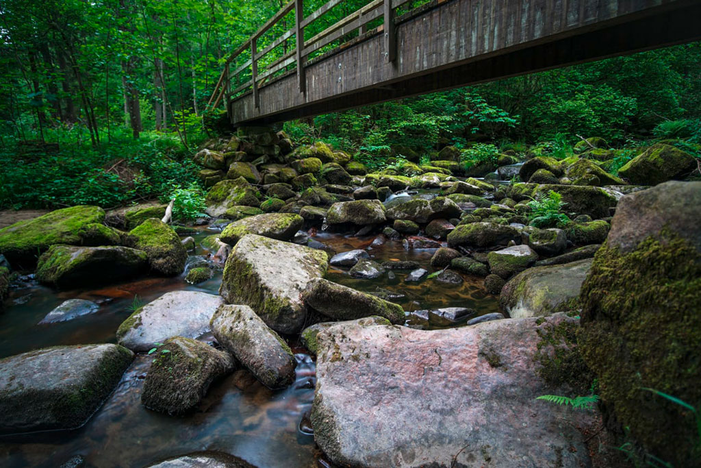 Saußbachklamm Waldkirchen — dichte grüne Vegetation und Felsformationen entlang des Wanderwegs