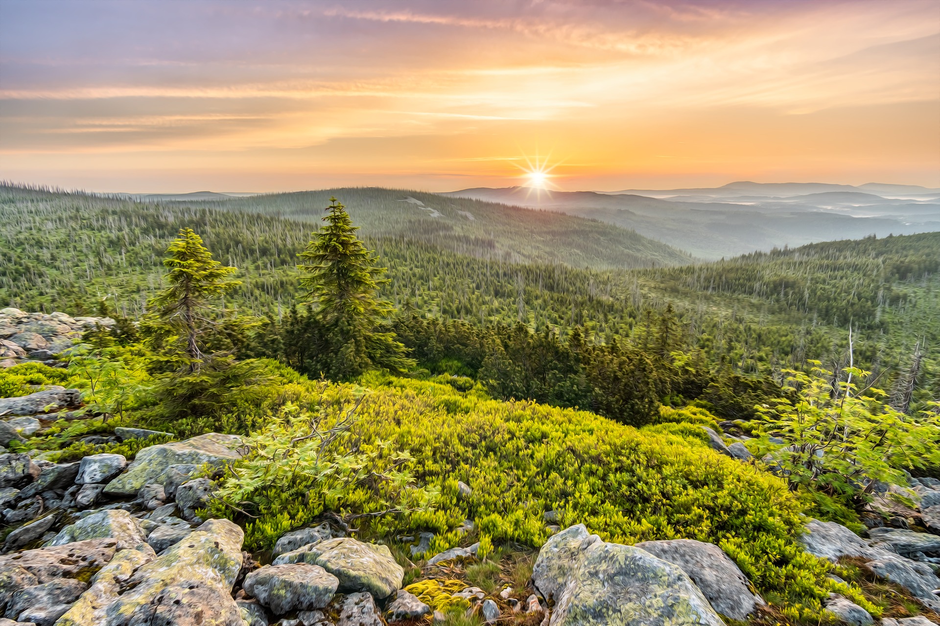 Nationalpark — Deutschlands ältester Nationalpark — 24.000 Hektar Wildnis, Baumwipfelpfad und Tier-Freigelände