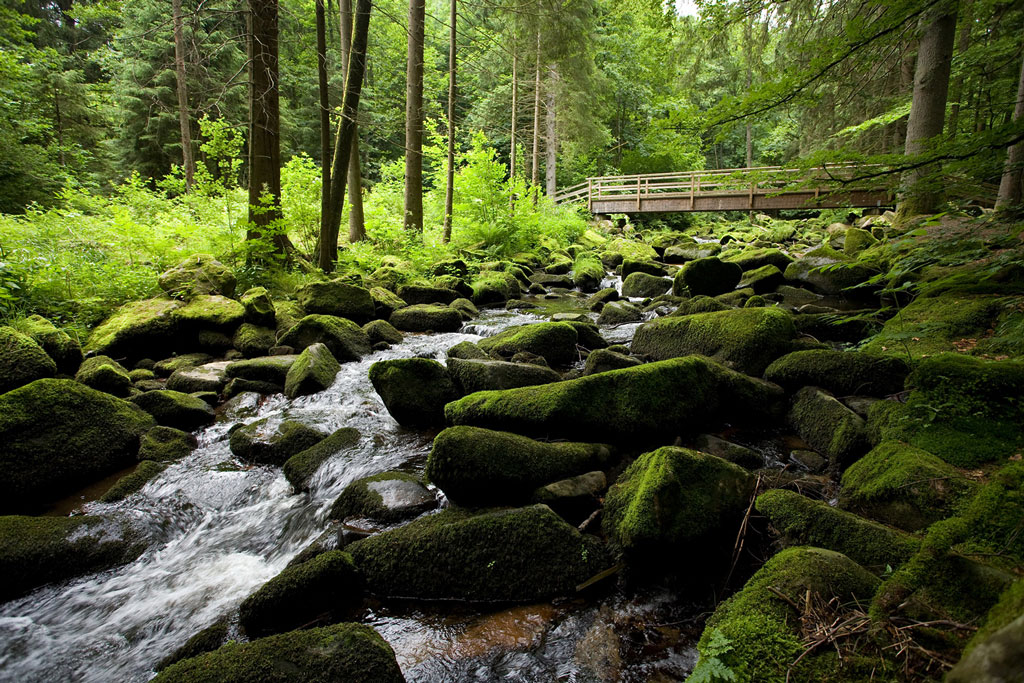 Saußbachklamm Waldkirchen — Granitblöcke im rauschenden Wasser