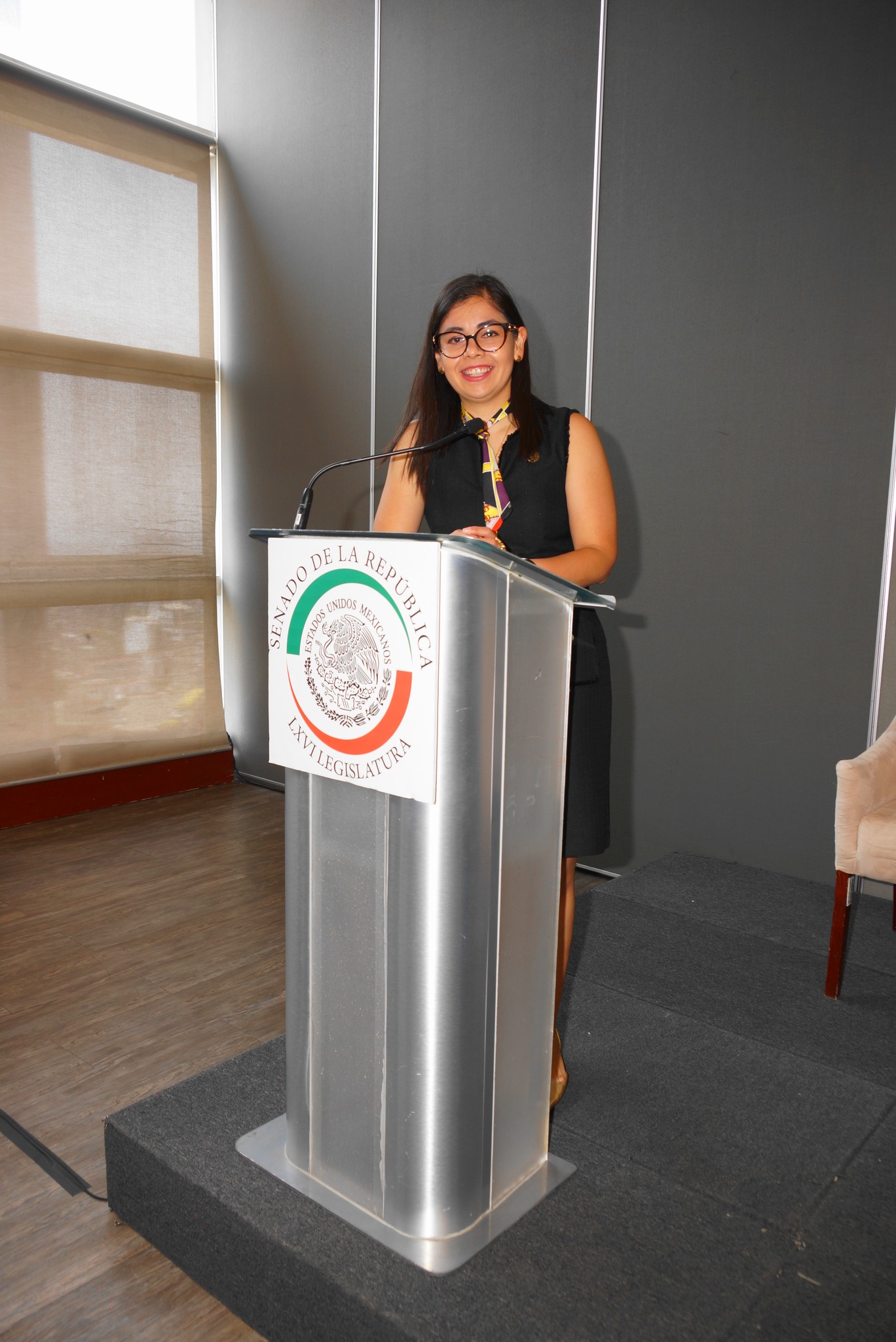 Consejo en acción 6