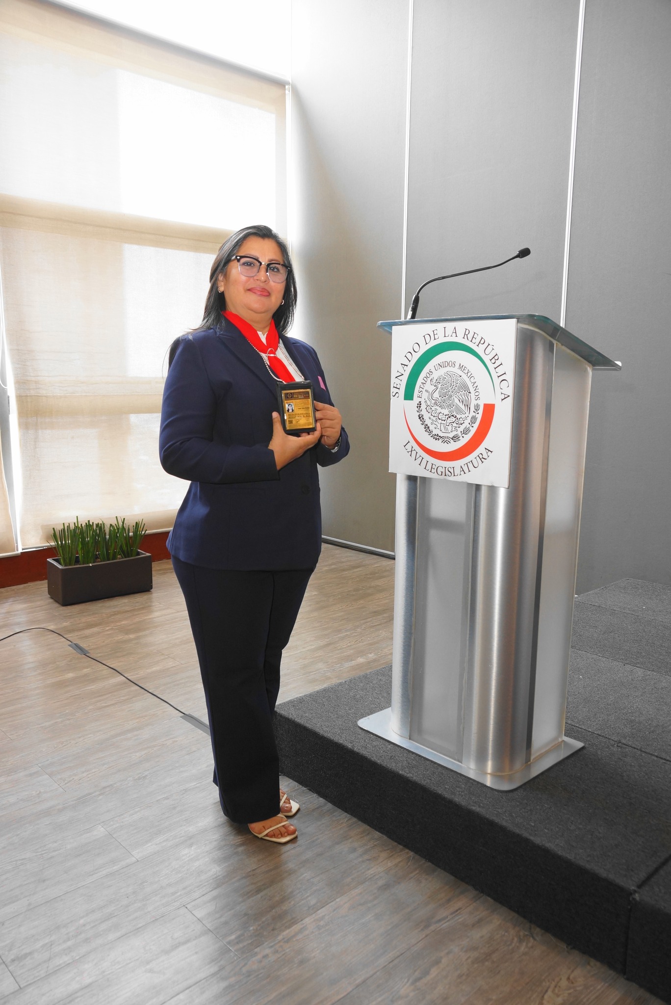 Consejo en acción 4