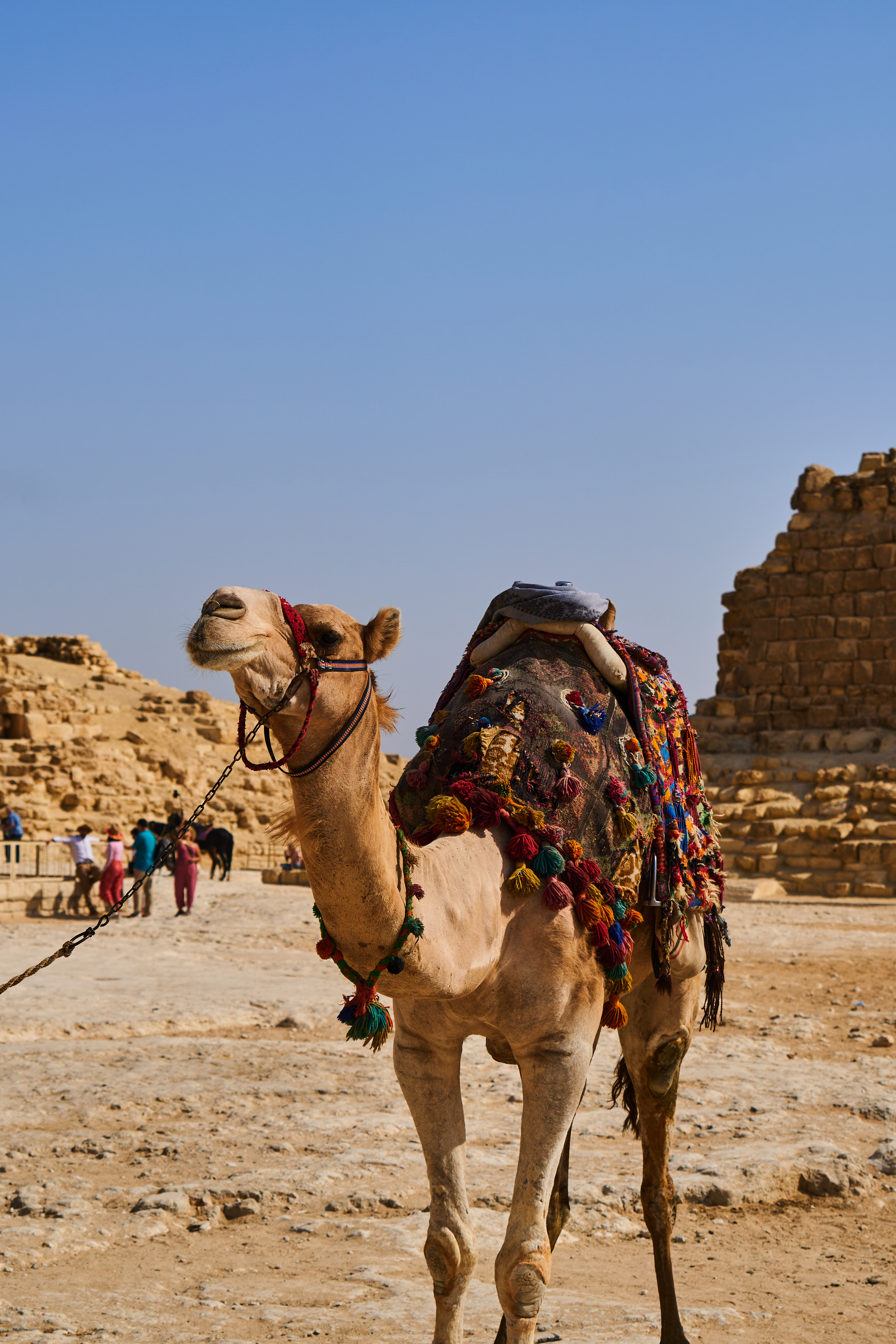 Fotografía de Gerard Cantero