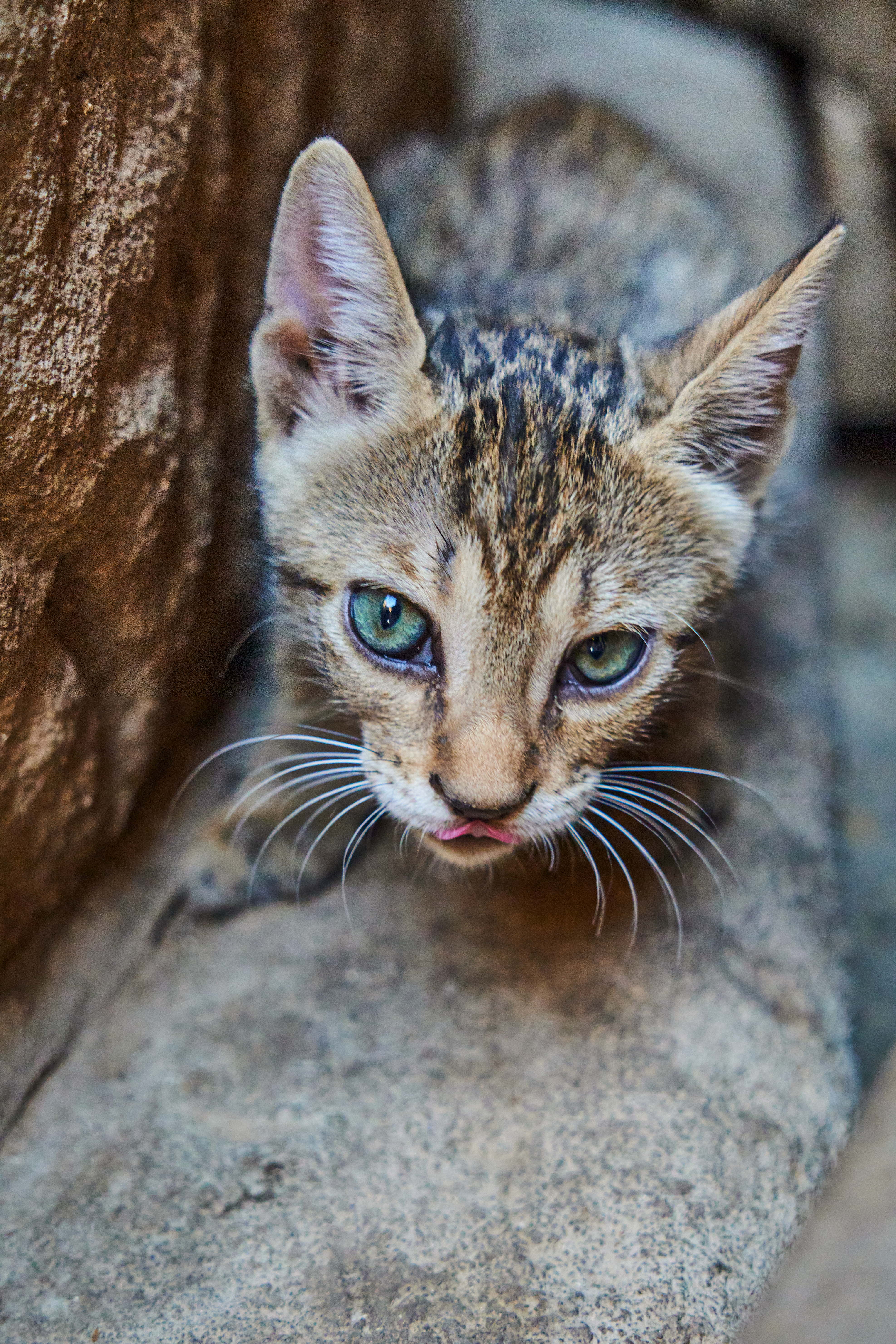 Fotografía de Gerard Cantero
