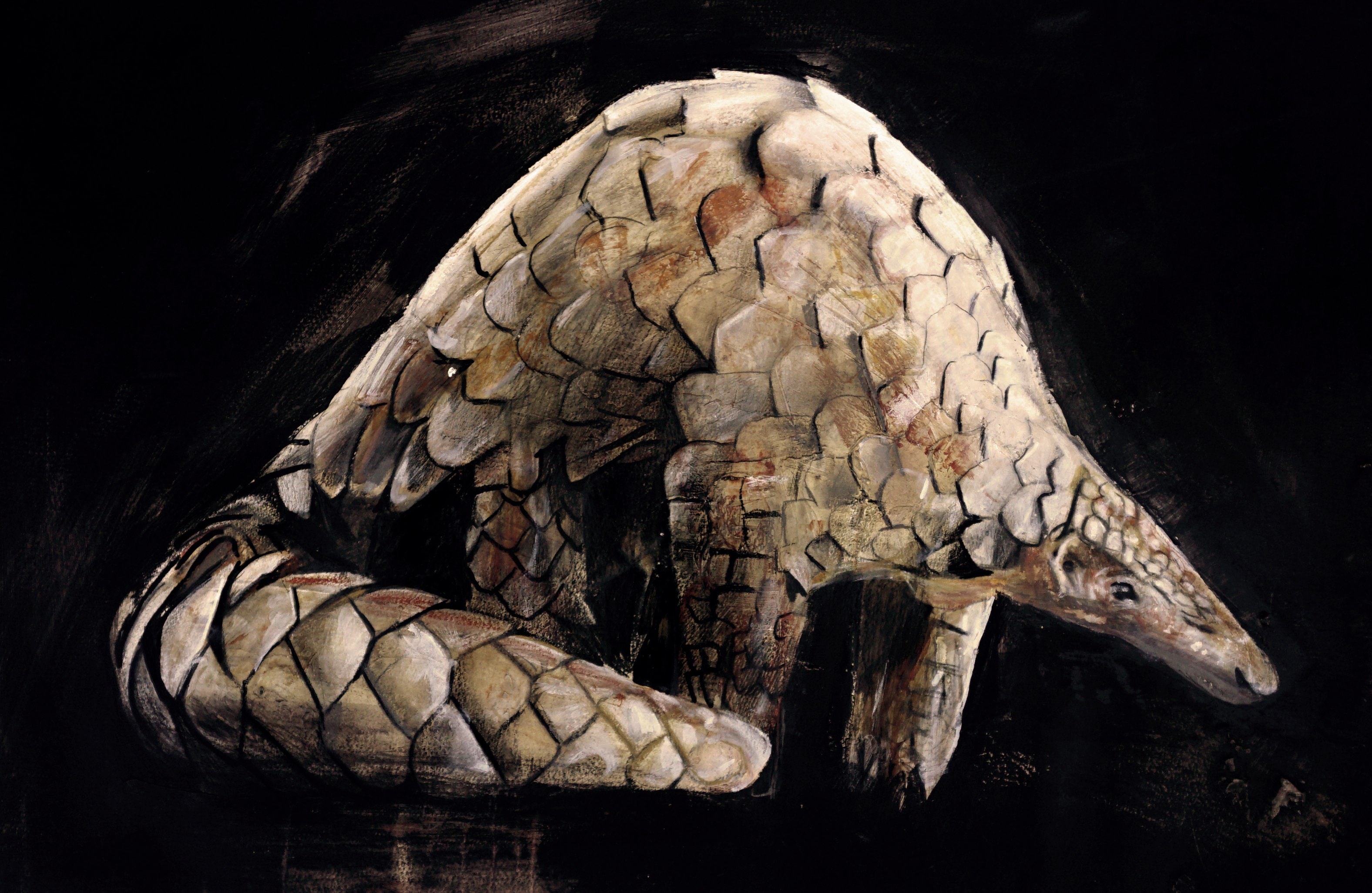 Project Holocene traveling exhibition — large-scale illuminated paintings of endangered animals