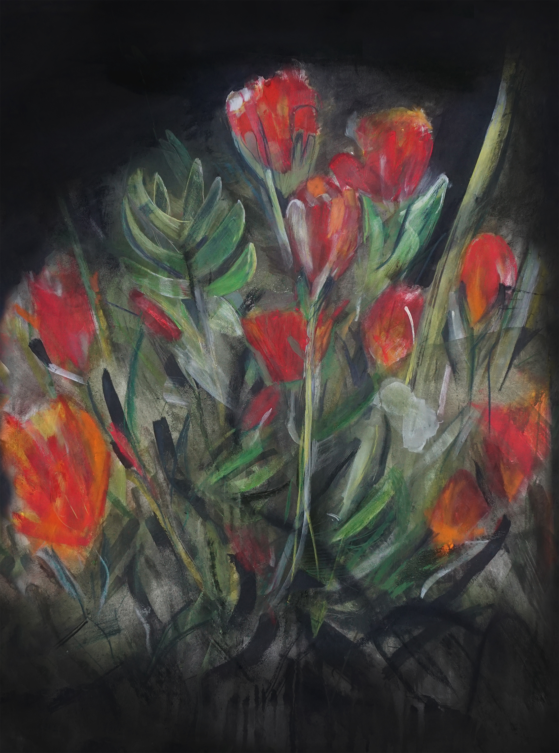 Night Flora