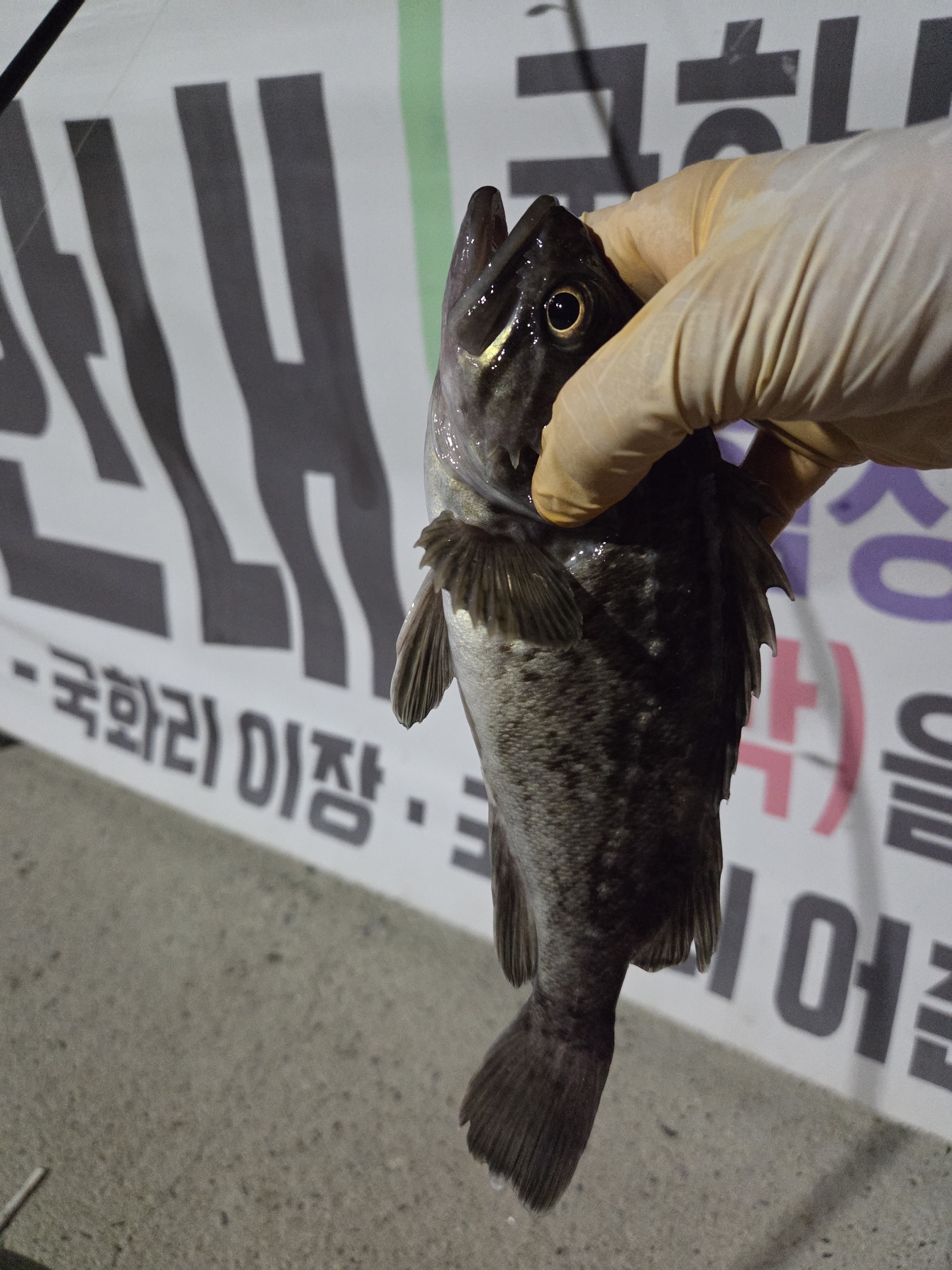 국화도 저녁 풍경