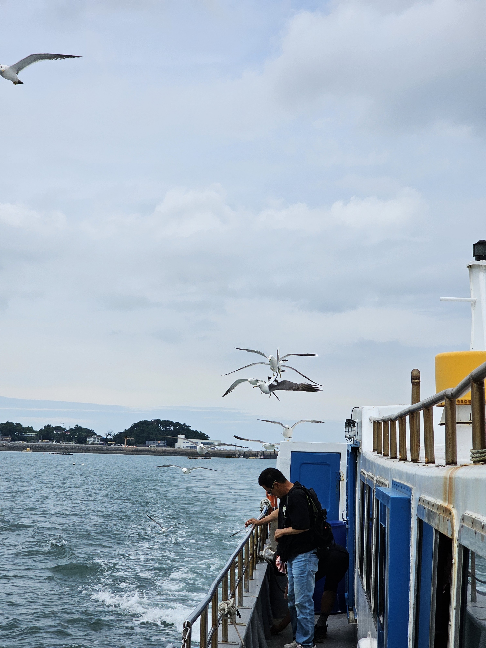 국화도 자연 풍경