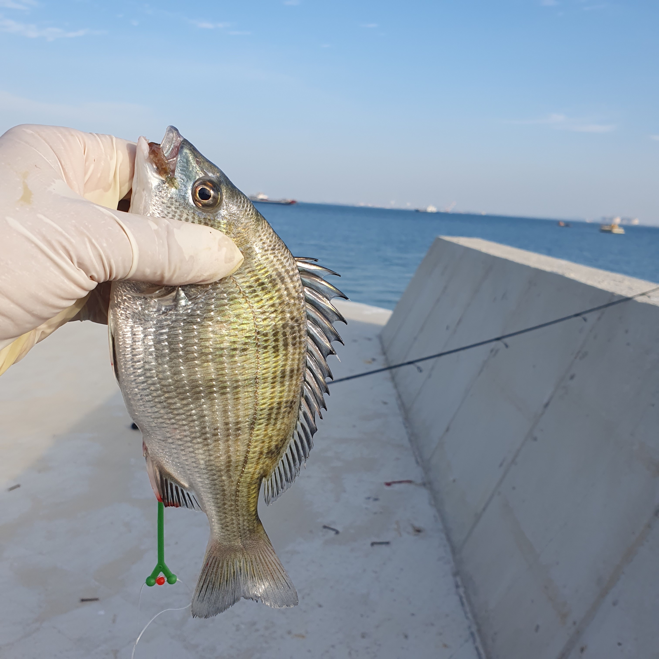 국화도 바다 풍경