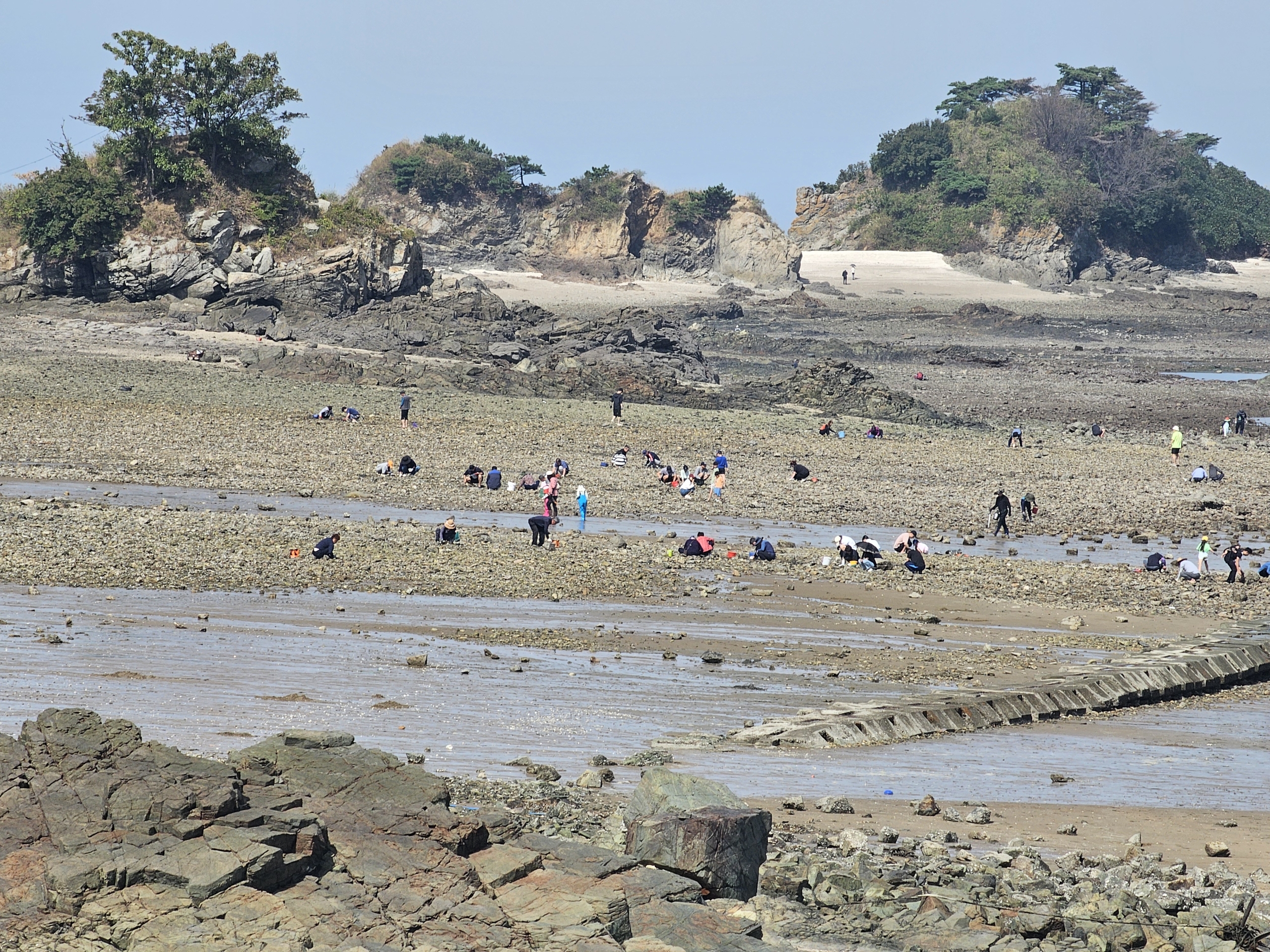 국화도 바닷가 풍경