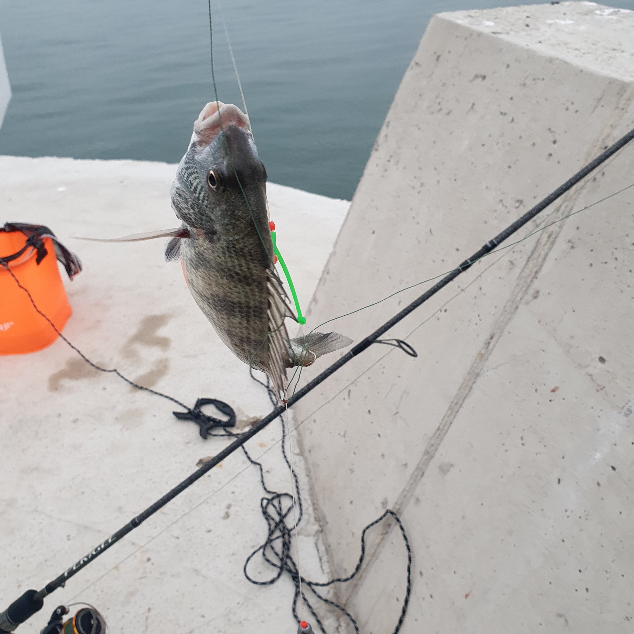 국화도 섬 전경