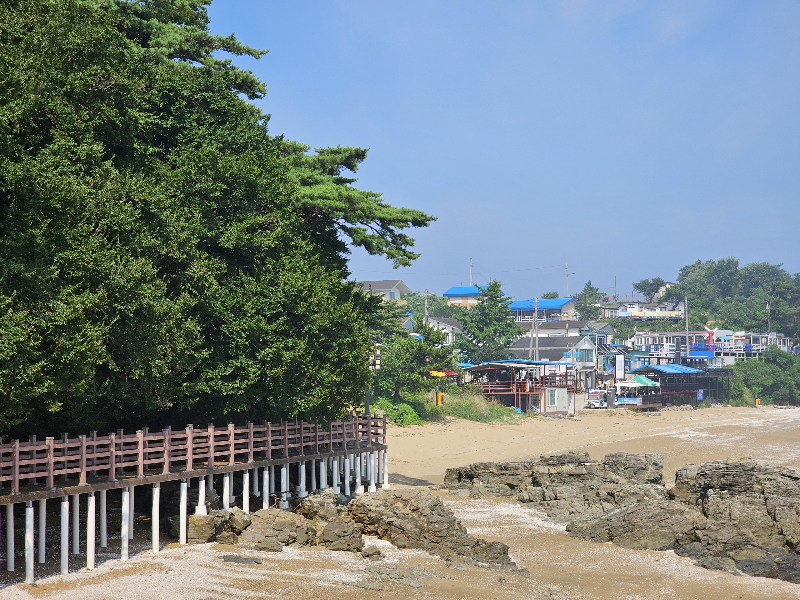 직접 잡은 신선한 해산물