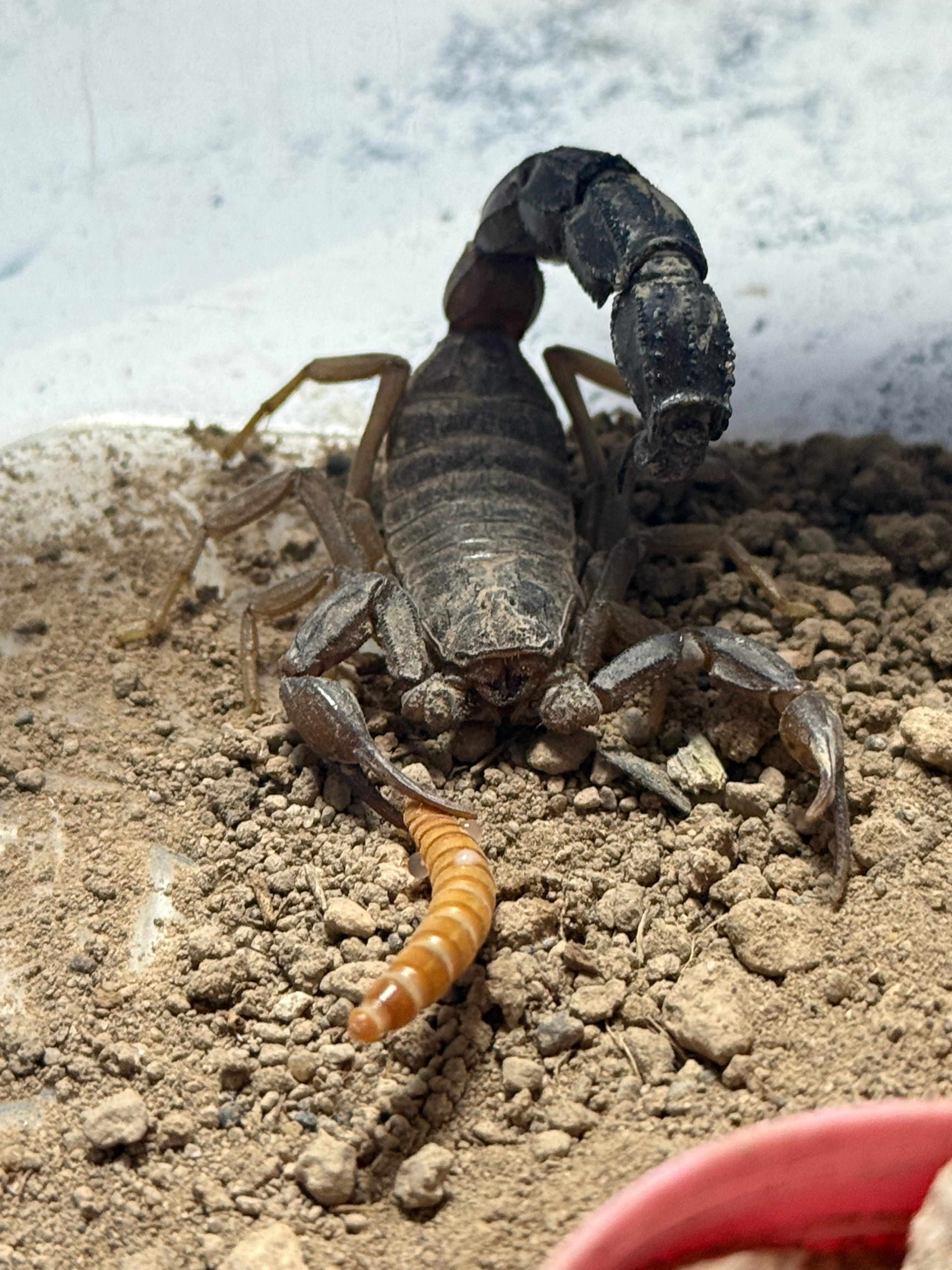 Tesis görüntüsü 1