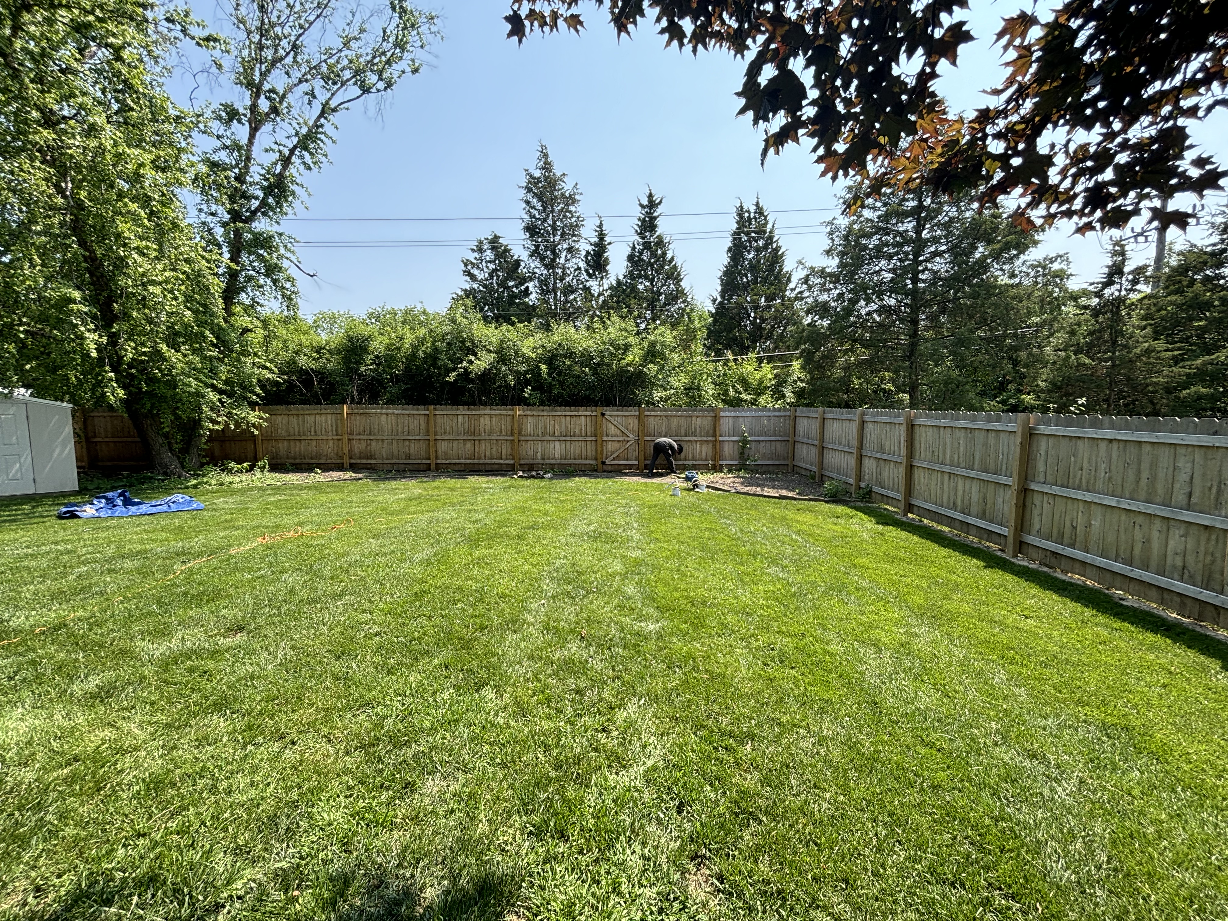 Naperville Fence Staining — completed project