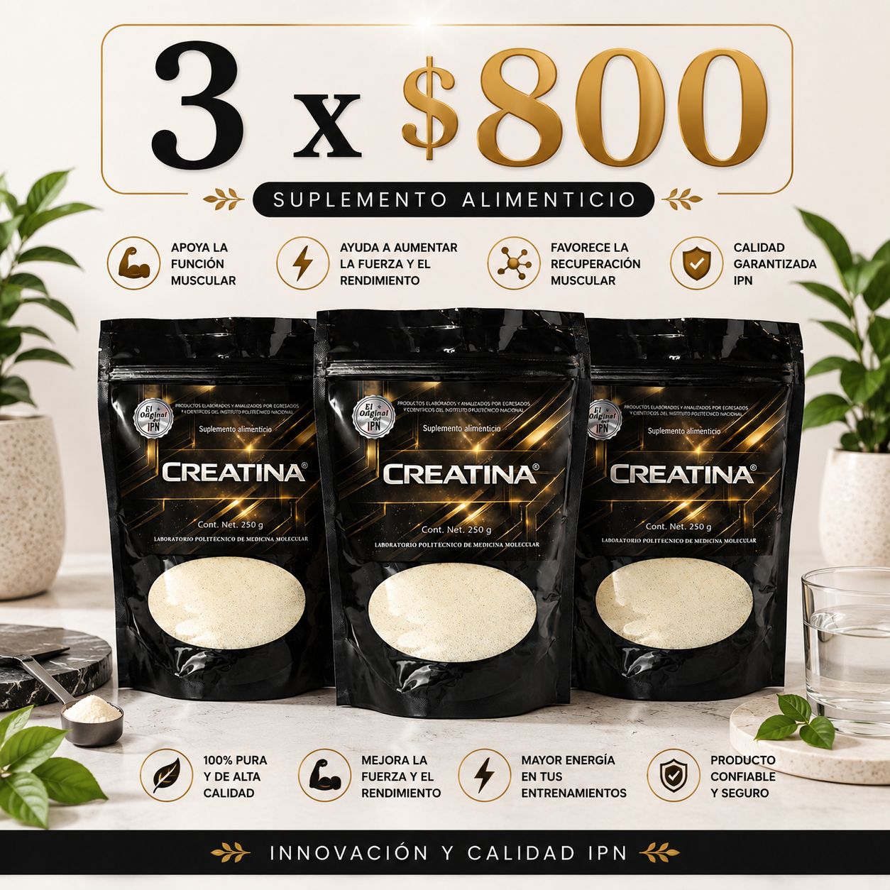 CREATINA