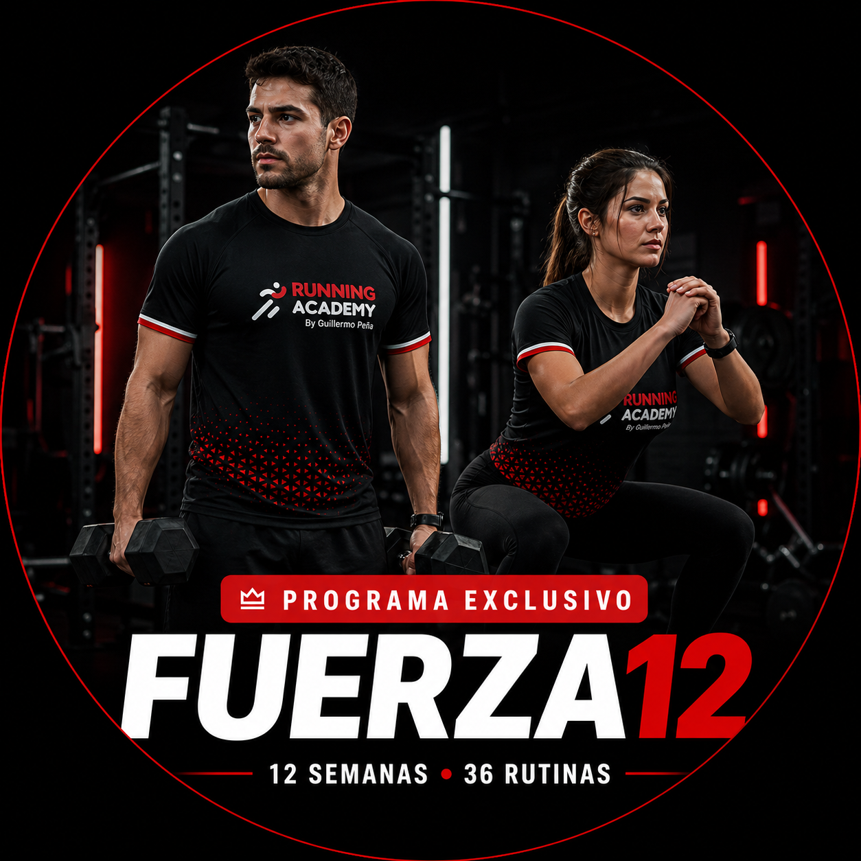 Fuerza12 Logo