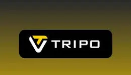 Tripo3D