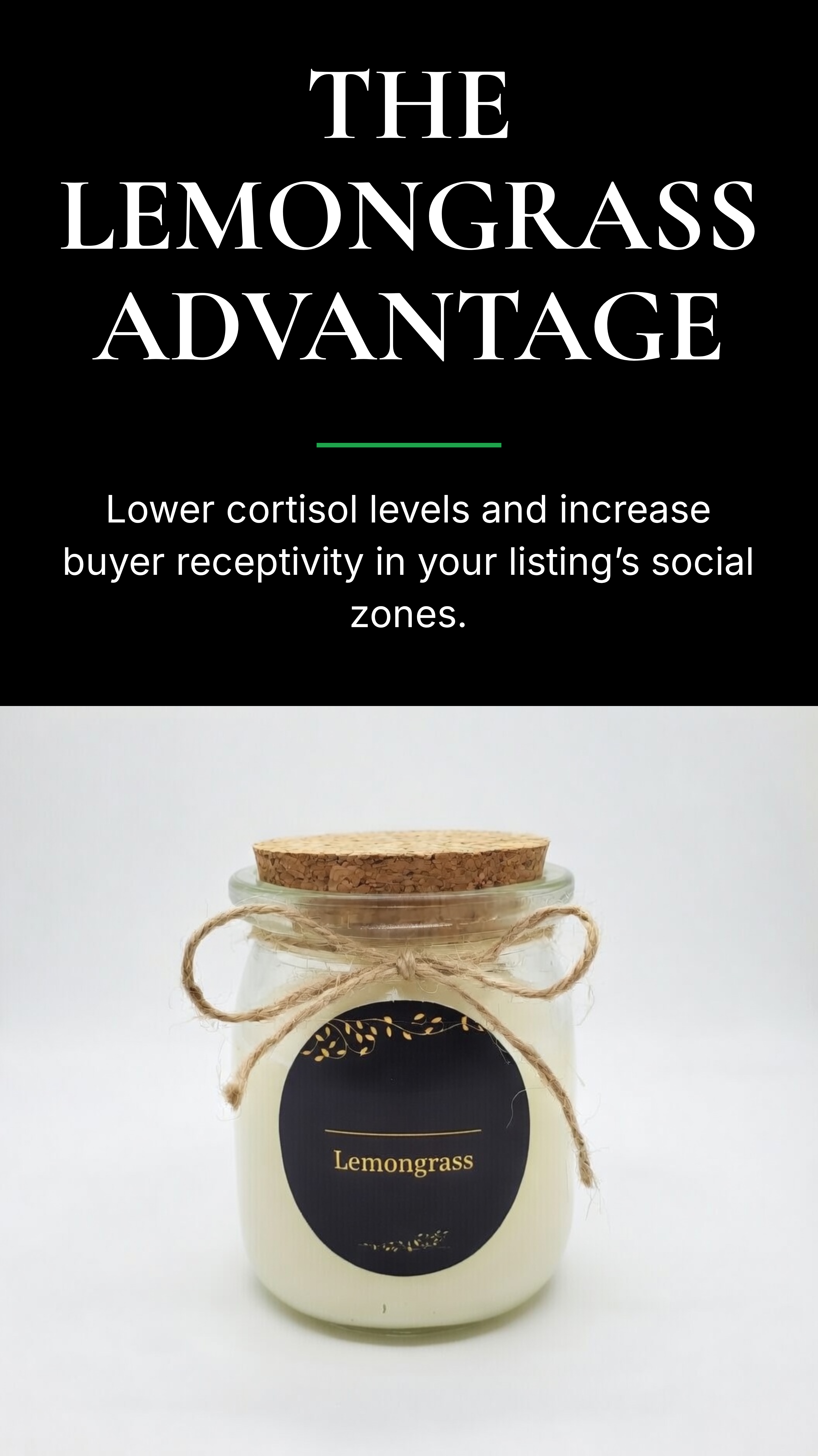 The Science of Social Spaces