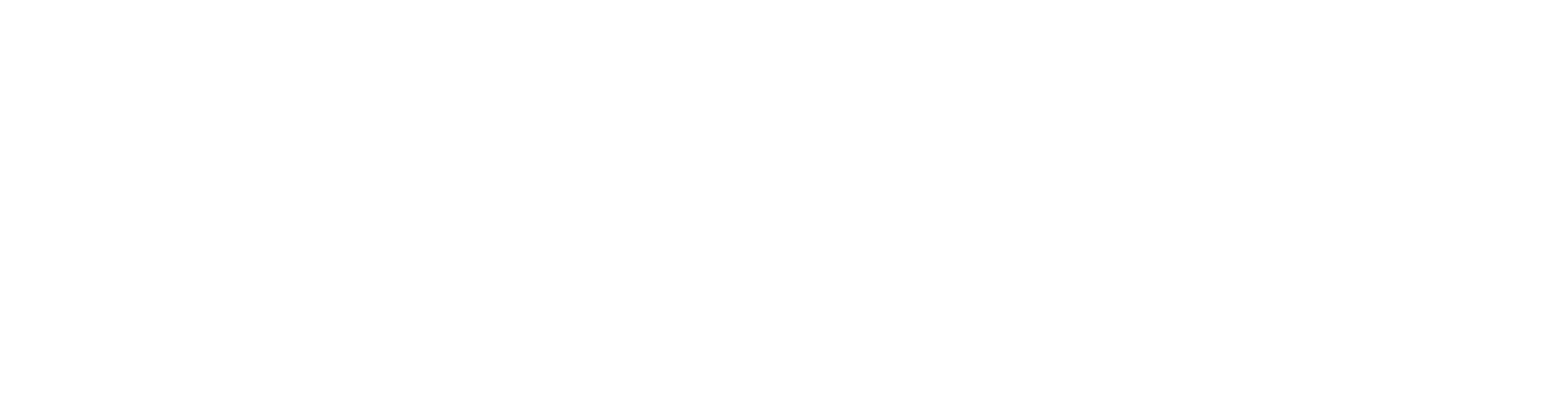 Brandi Lanée Events & Decor