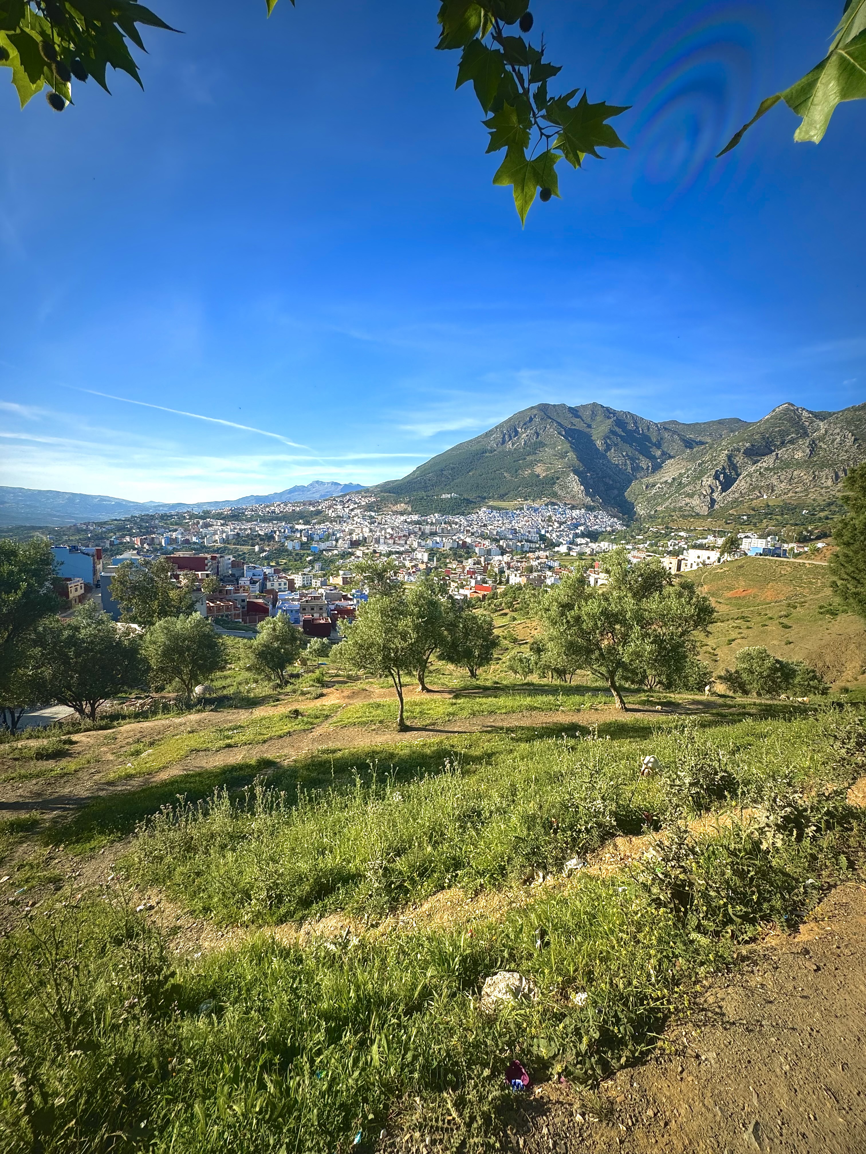 Moroccan Dreamscape: A 3-Day Voyage Through History and Color — photo 2