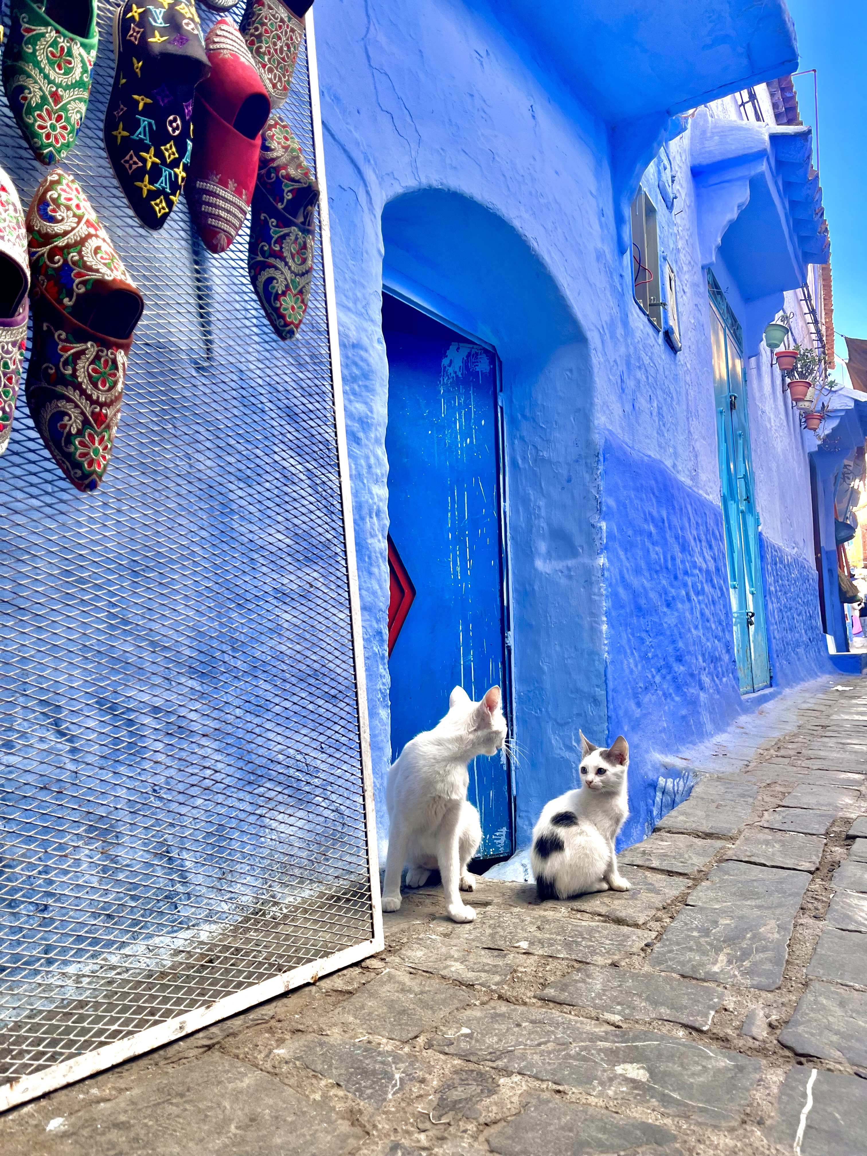 Chefchaouen — The Blue Pearl
