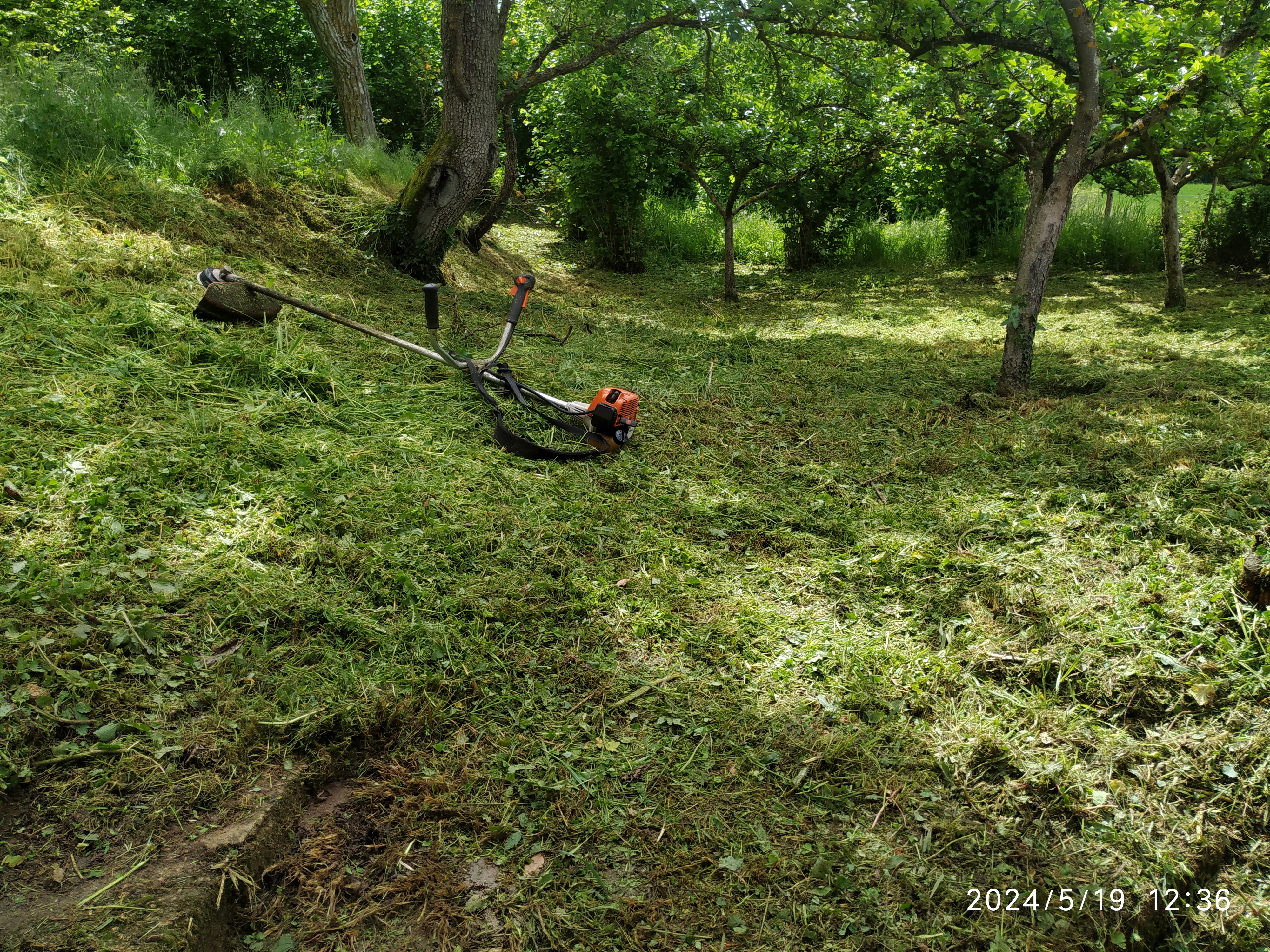 Desbroce de Parcelas