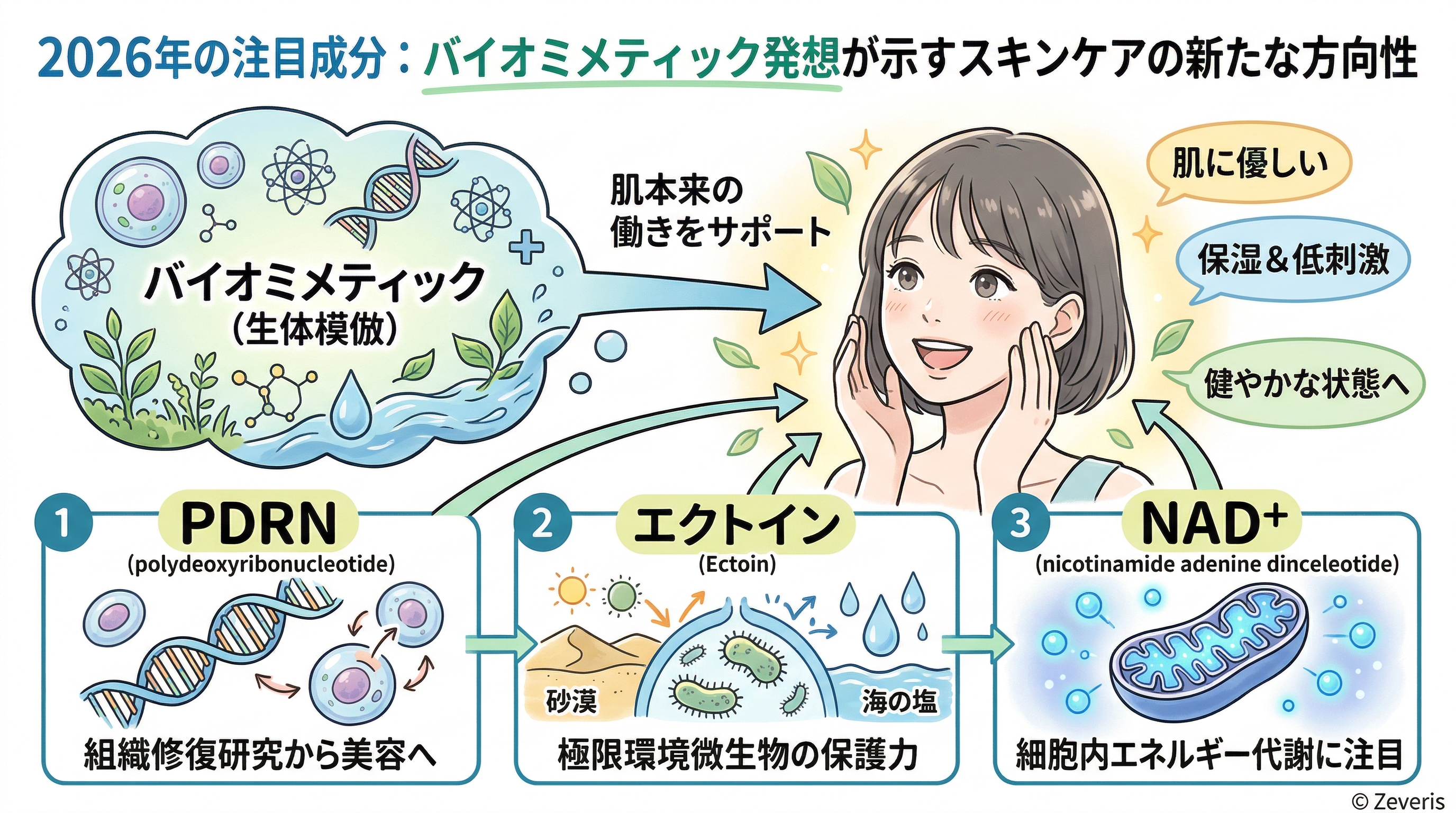 2026年バイオミメティックスキンケア成分