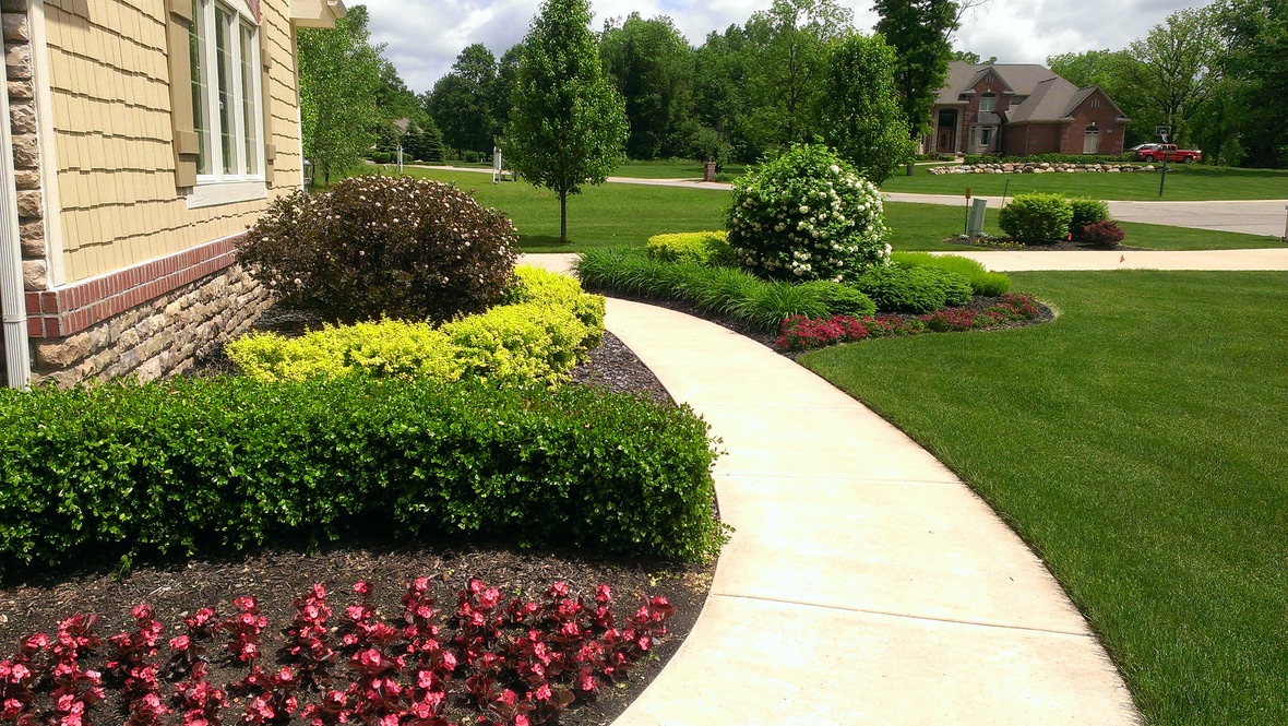 Landscape Design & Consulting