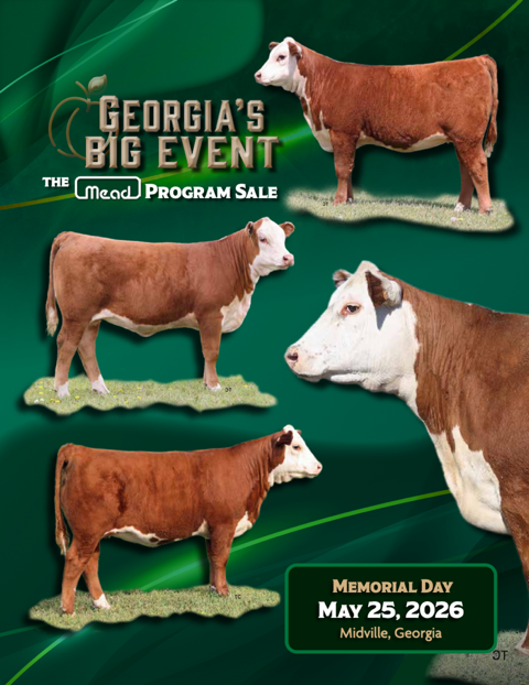 Georgia's Big Event
