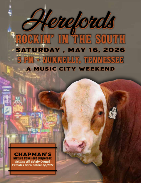 Herefords Rockin' in the South