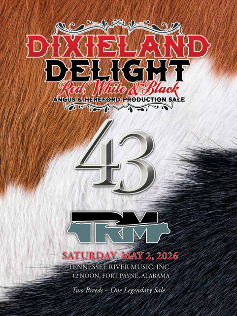 Tennessee River Music Dixieland Delight