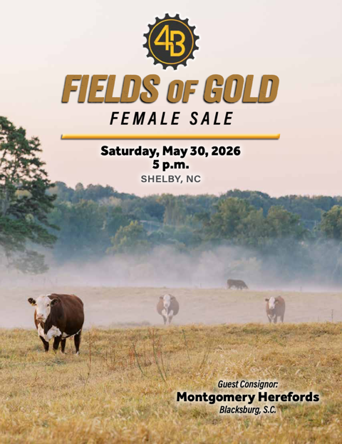 4B Farms Fields of Gold Female Sale