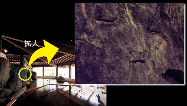 癒され顔の岩 — 八百坊温泉