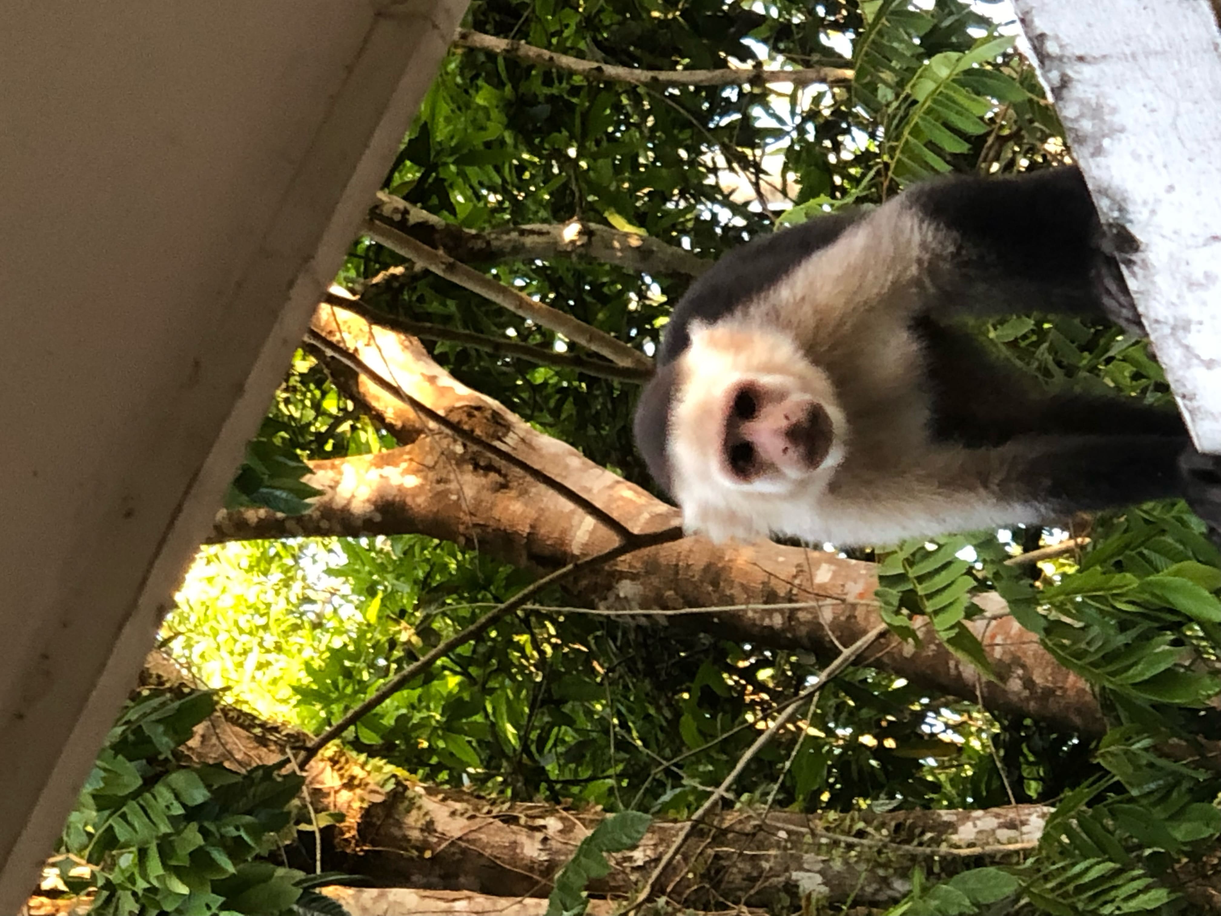 Guanacaste, Costa Rica - Sol Pathway Adventures mountain biking tour