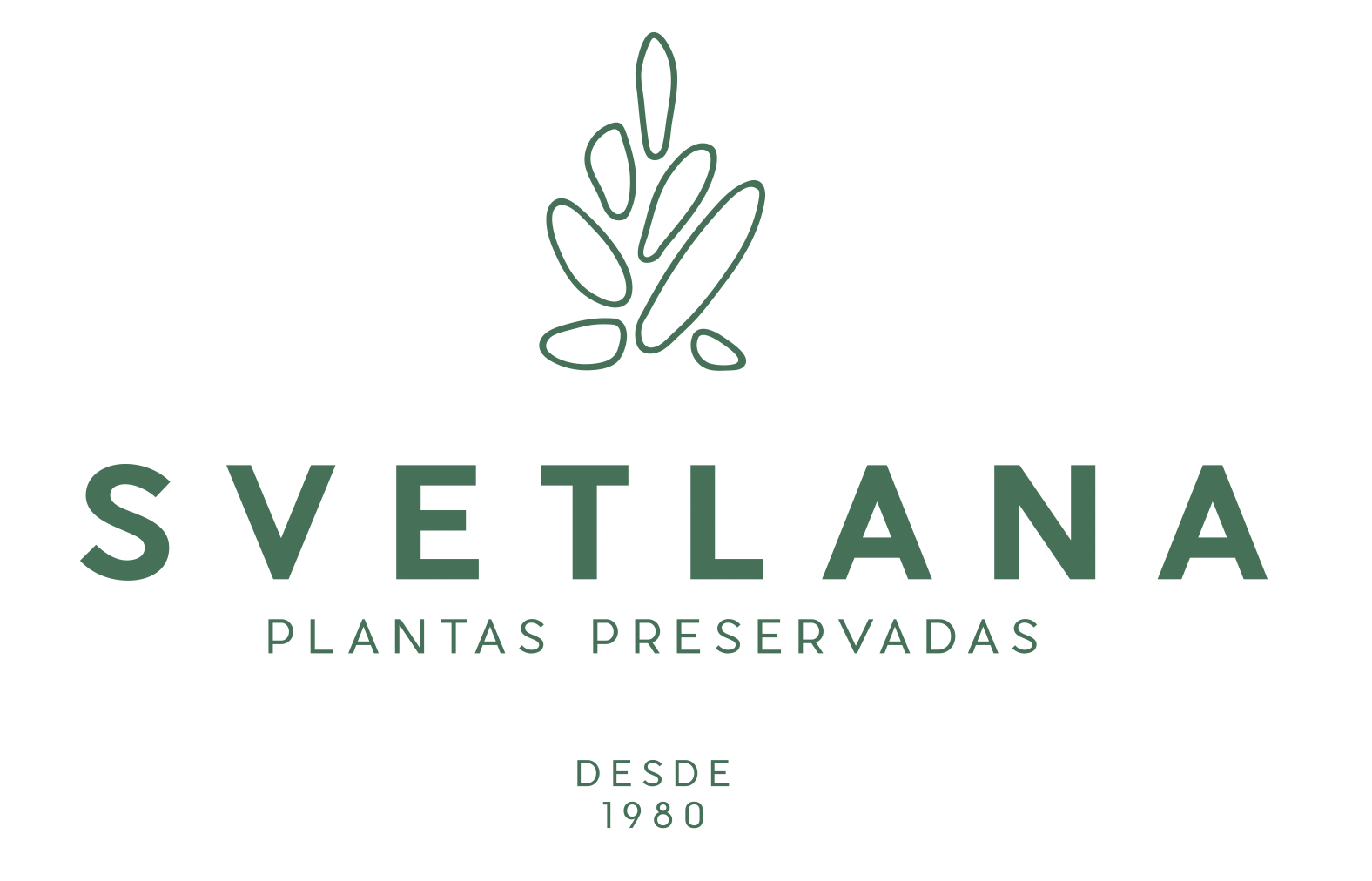 Svetlana Plantas Preservadas