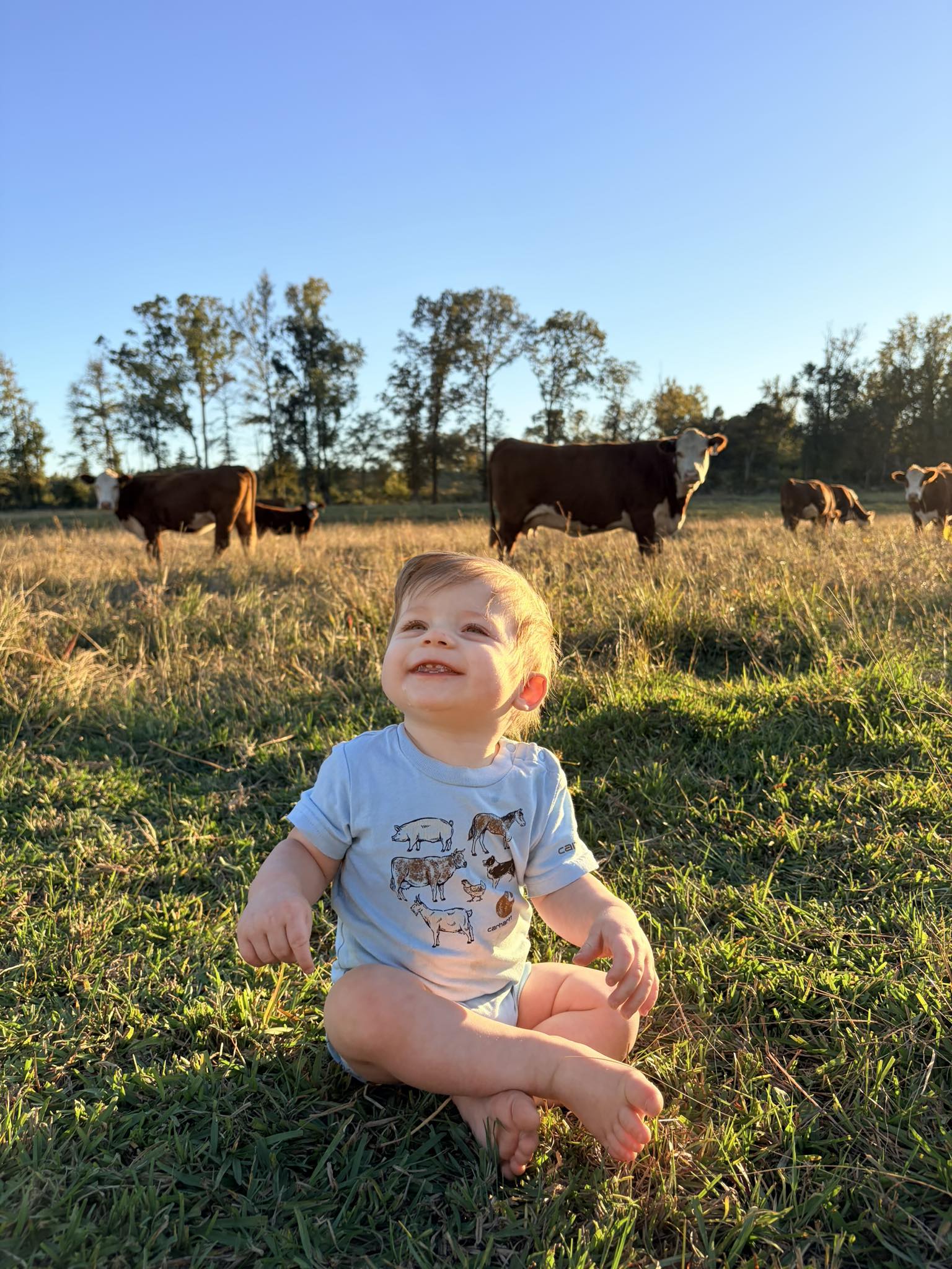 Farm Life