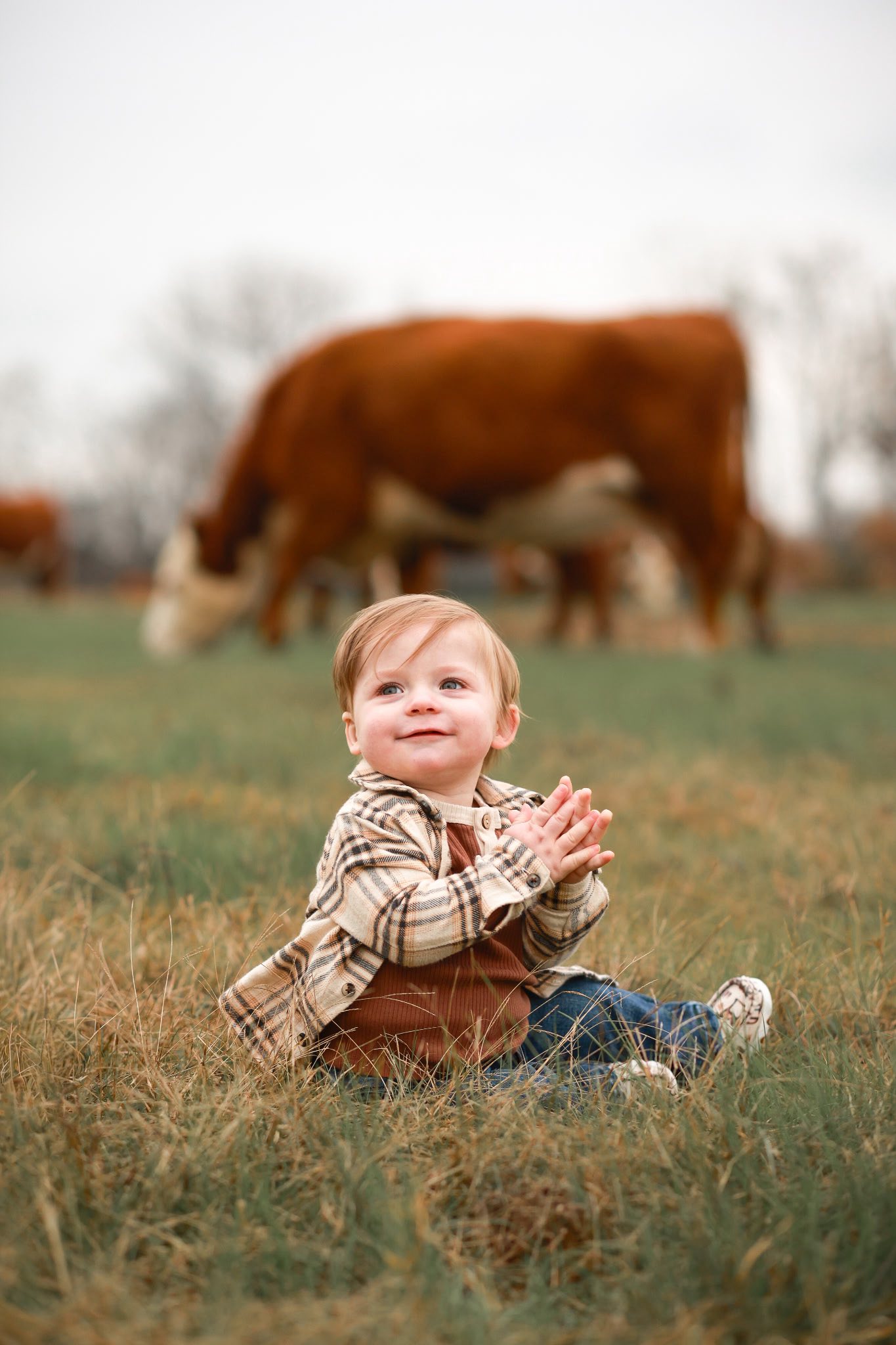 Pasture Views