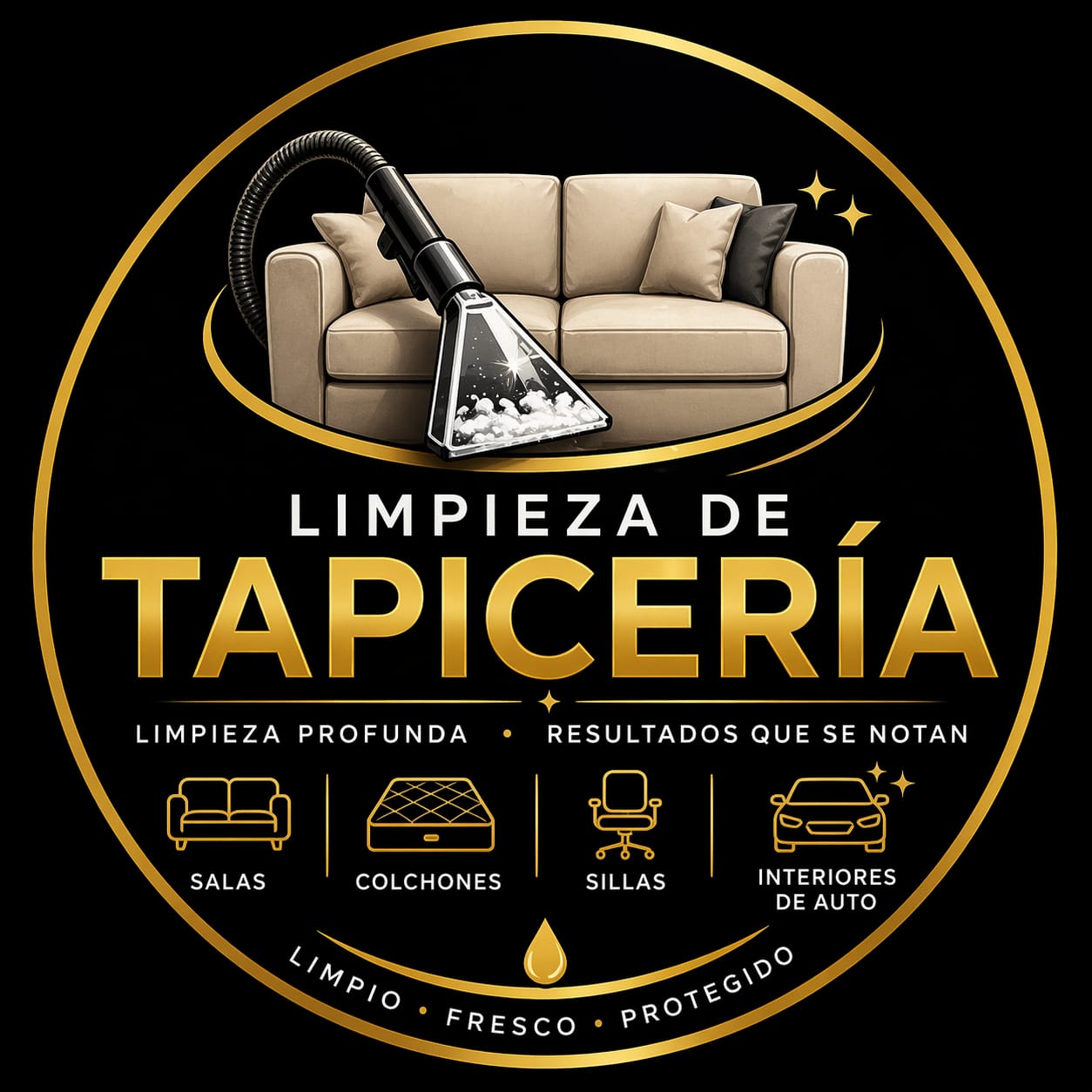 Limpieza de Tapiceria