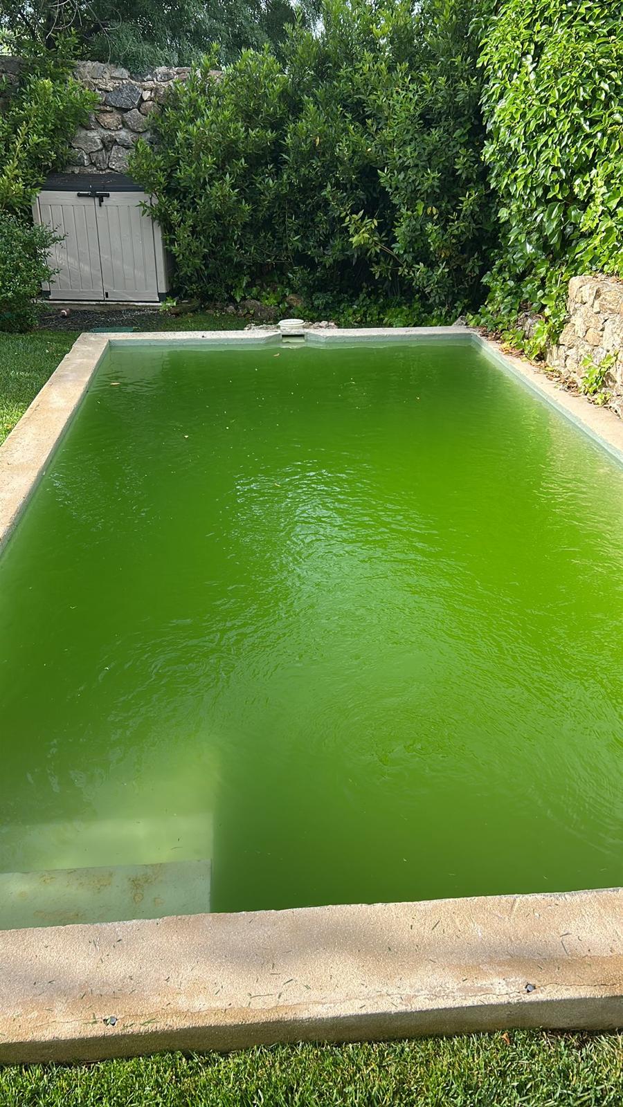 Piscina deteriorada antes de la intervención en Sotosalbos, Segovia