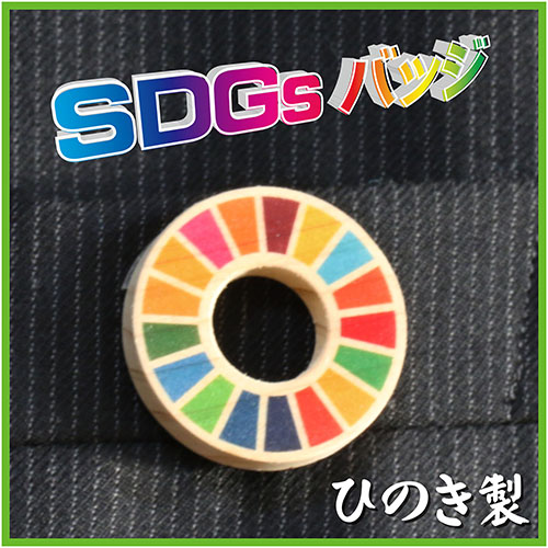 【名入れ無料】SDGsバッジ マグネット式 Φ30mm【ひのき】 - 名入れ対応の記念品