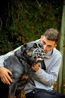 Photo canine 4