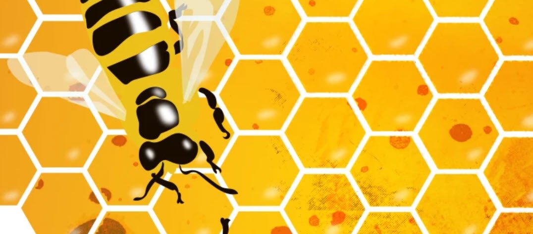 Bitter Taste Fake Honey — Adele Ferguson investigation into Capilano and supermarkets selling adulterated honey