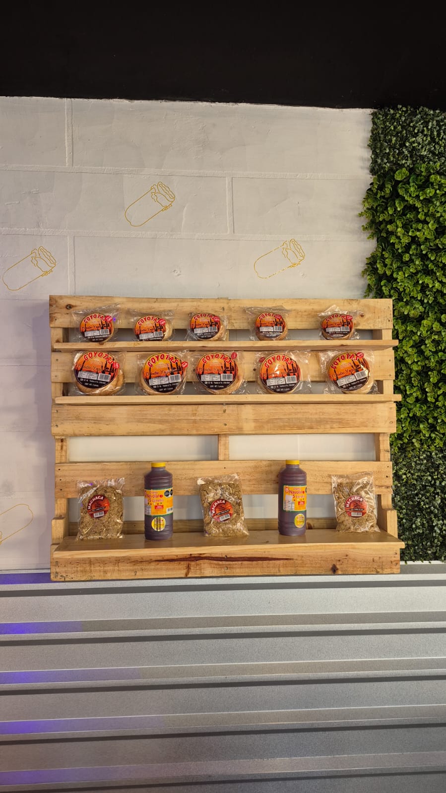 SONBurros destacado - Burro Principal