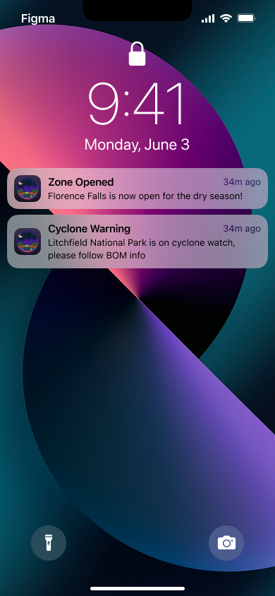 Emergency Push Notifications