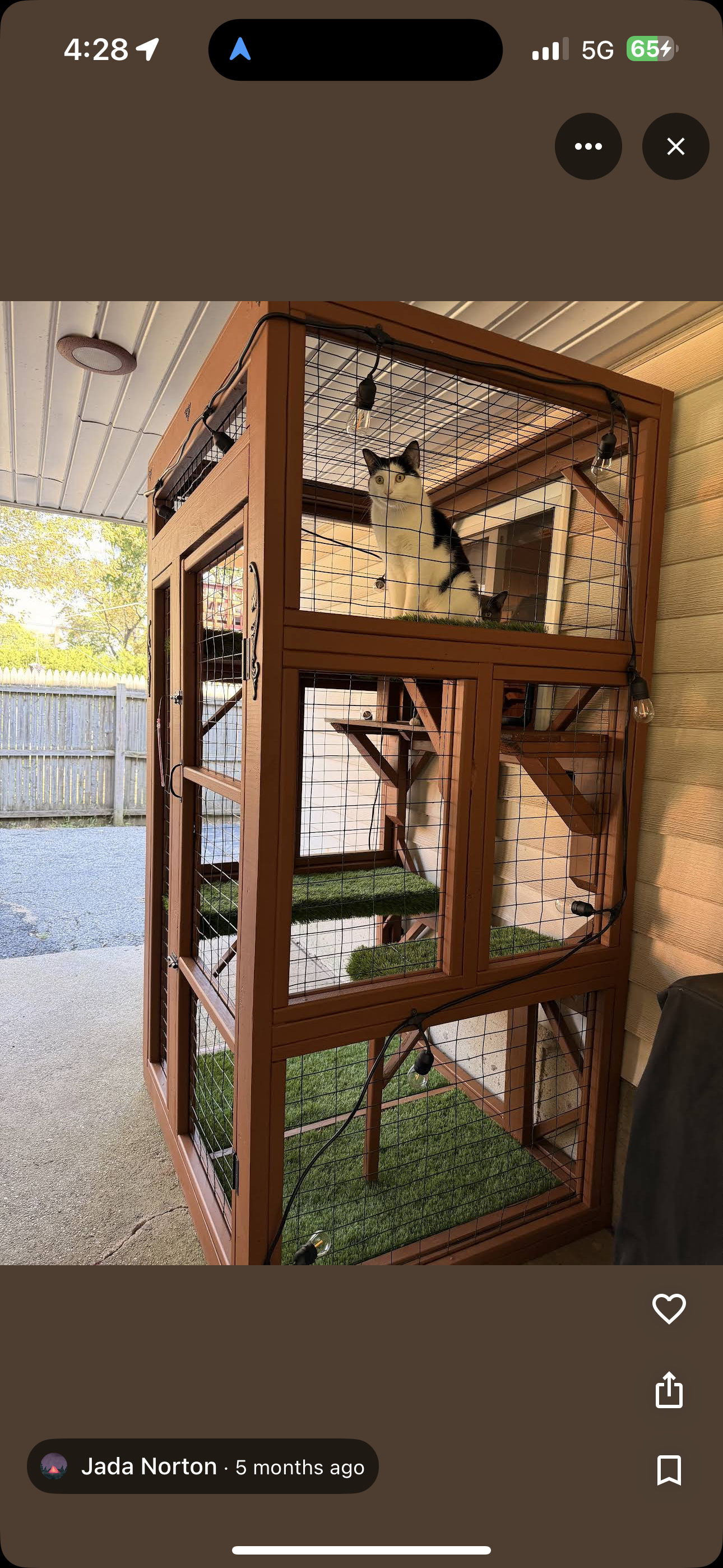 2 Brothers Catios — Custom catio builders at work